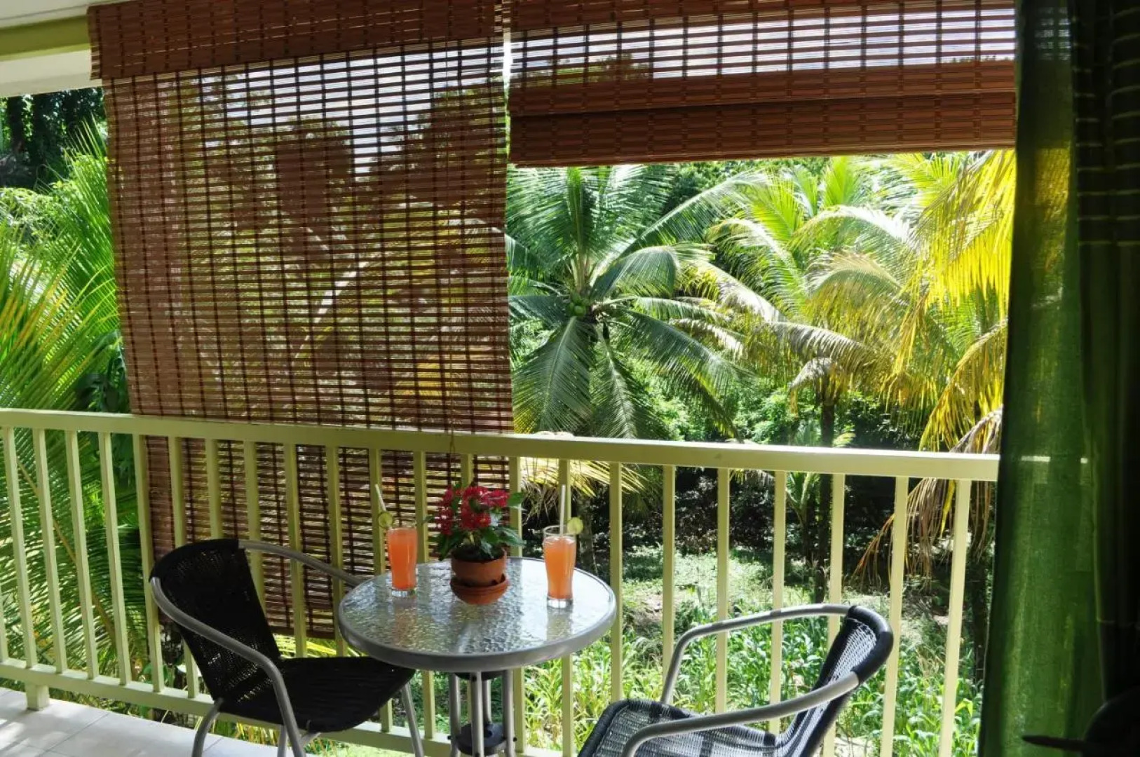 The Leatherback Lodge