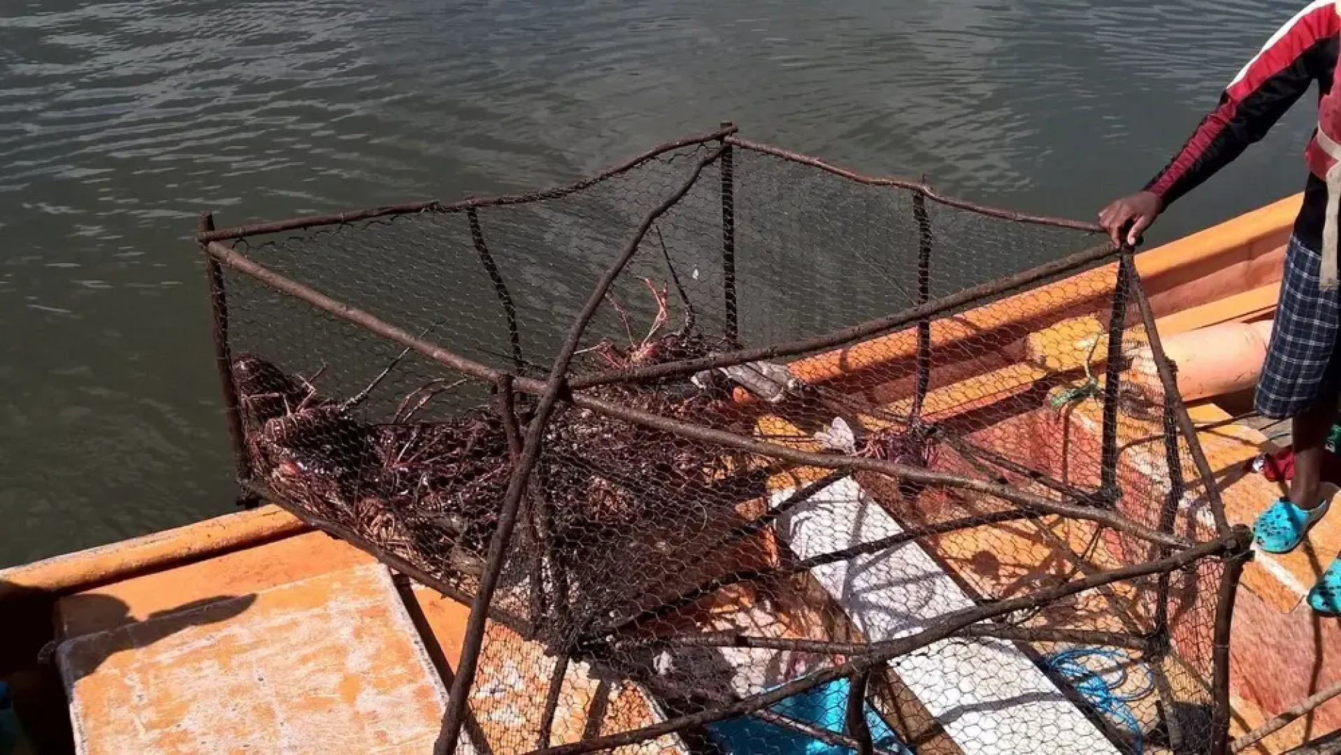 Wanderlust Caribbean - Adventure Travel Boutique Hotel