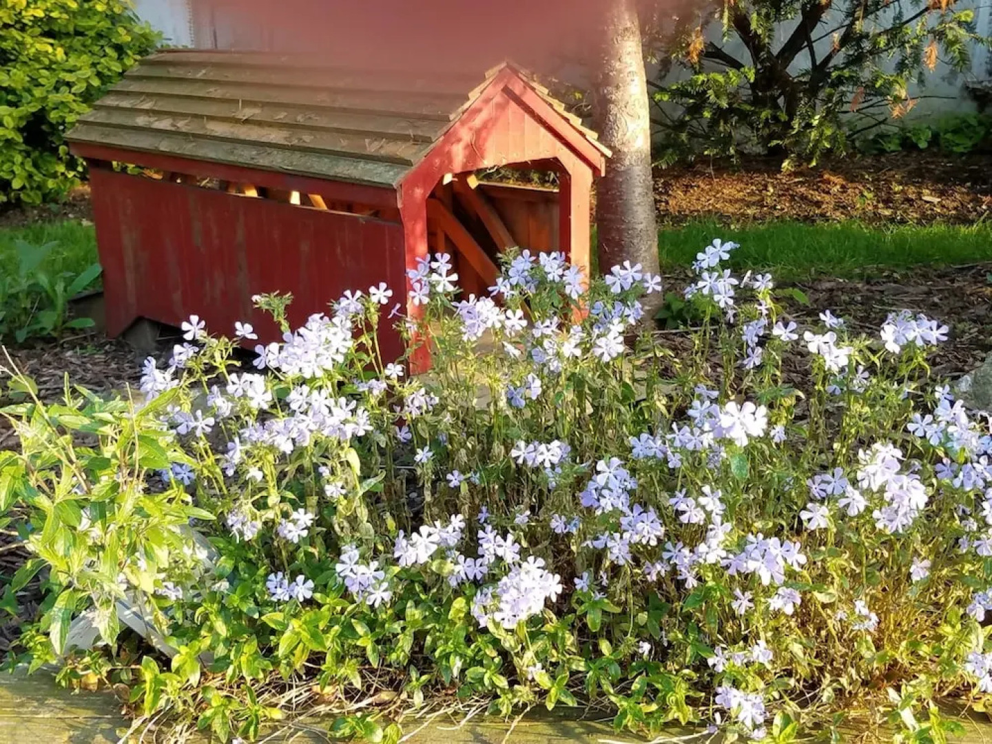 Osceola Mill House B&B