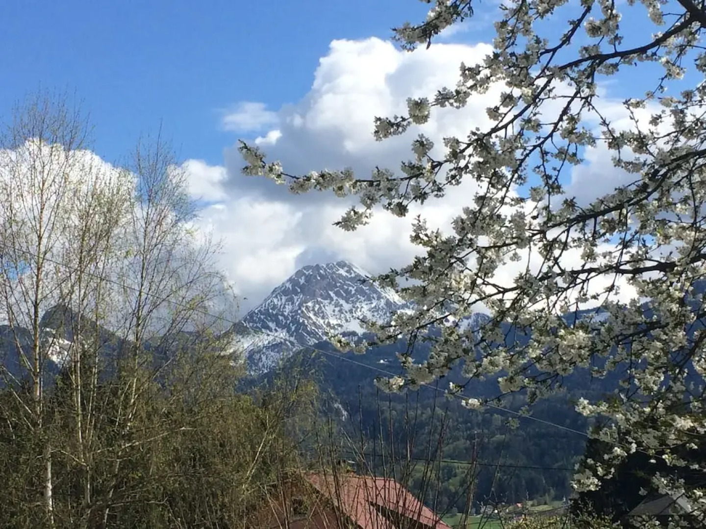 Schindelstube Gasthof