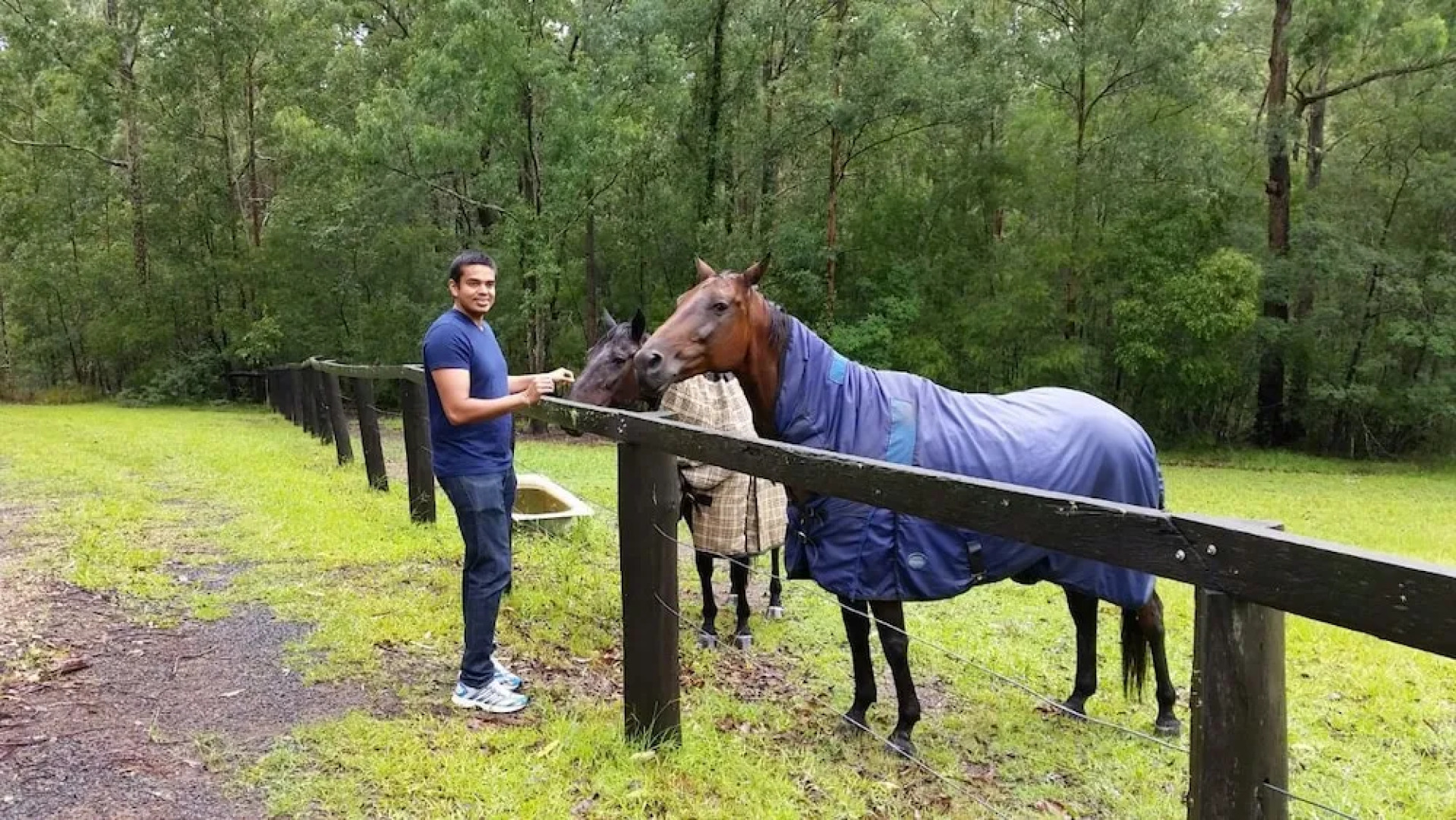 Peacehaven Counrty Cottages