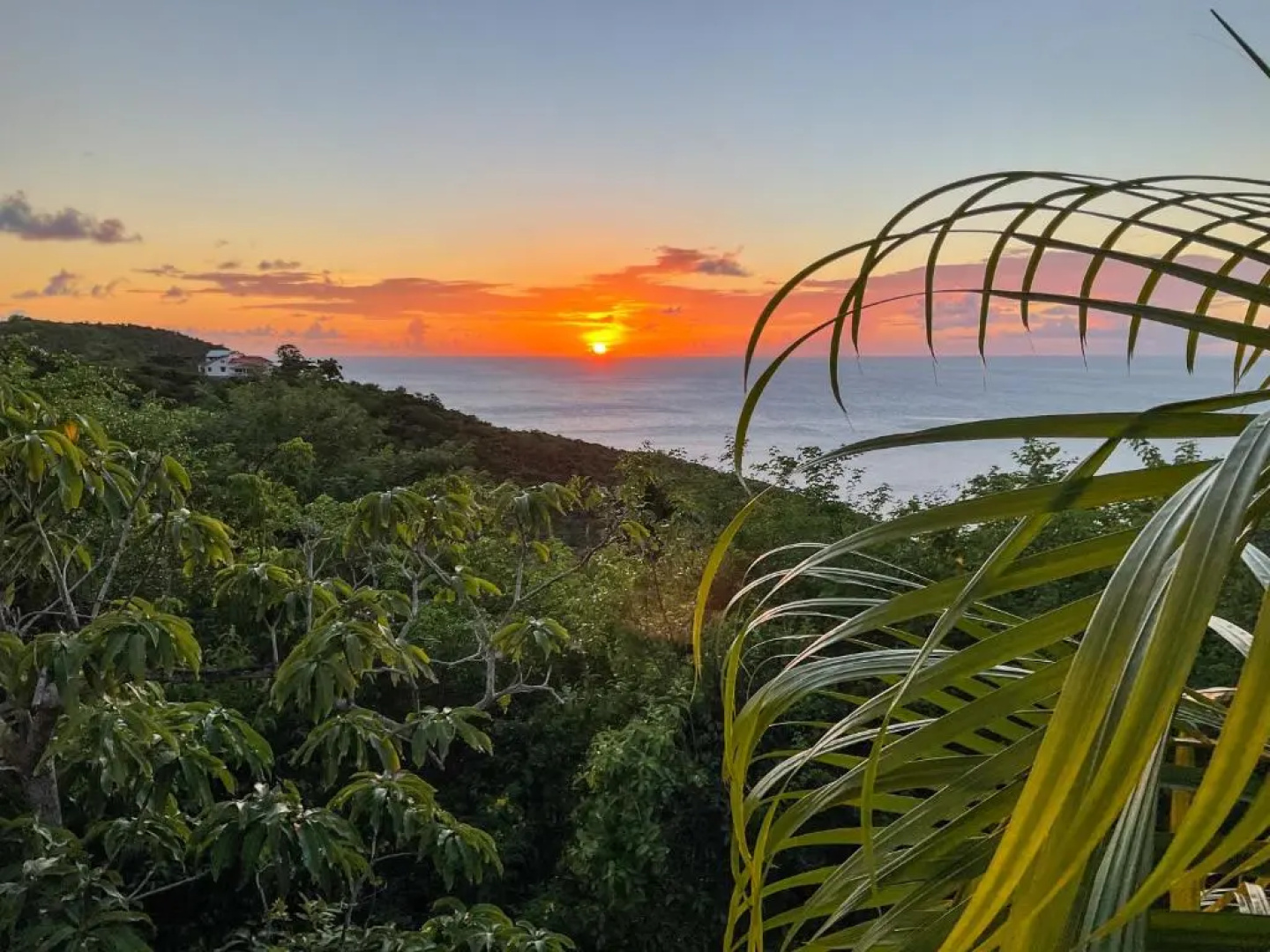 Villa Caribbean Dream
