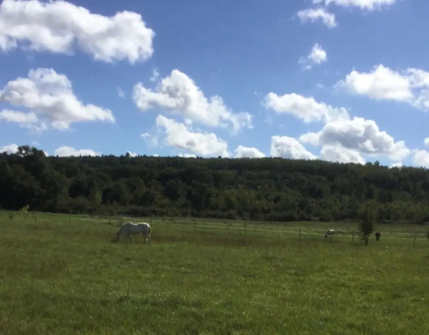 Charming 5 Bedroom House