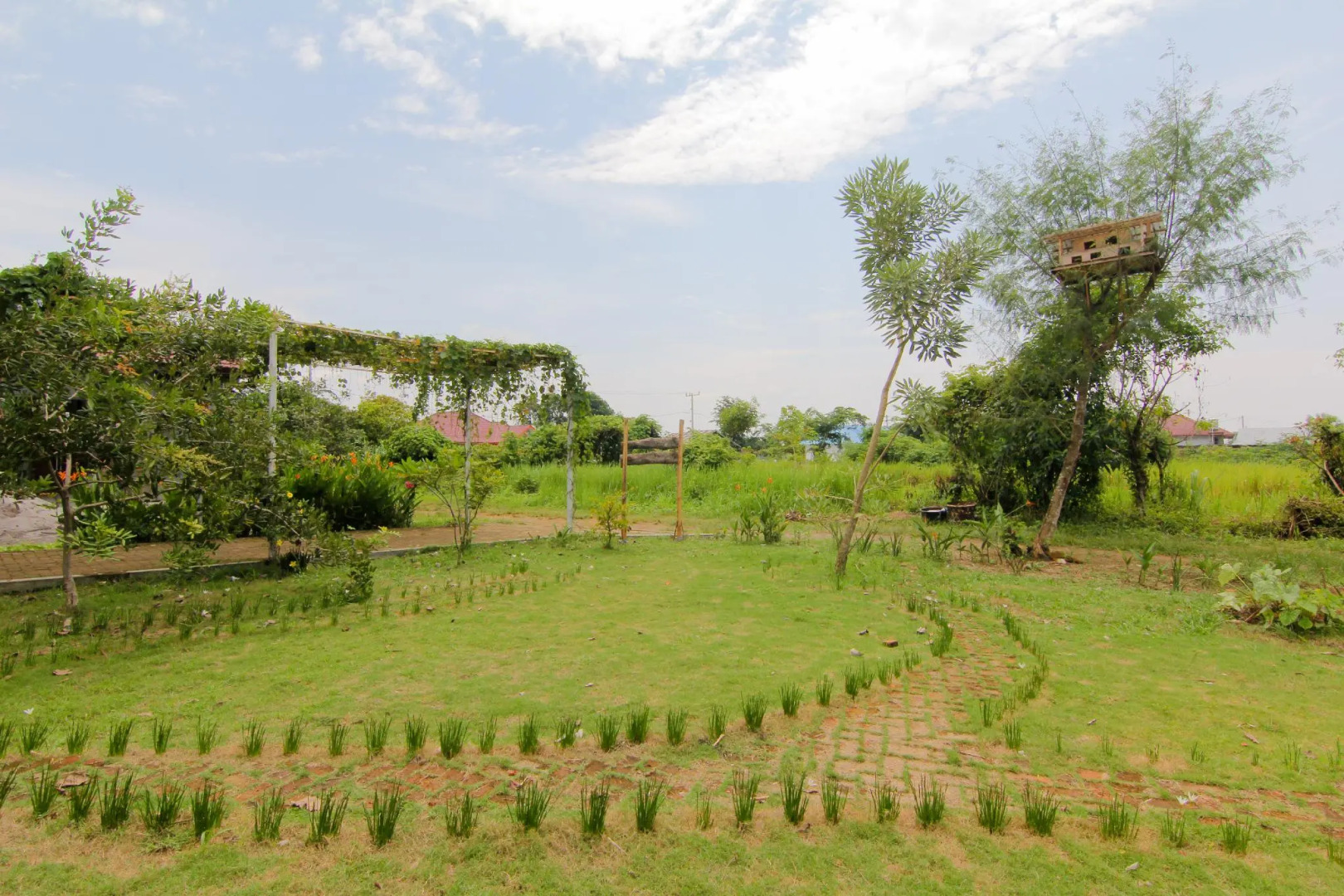 Bua Guest House