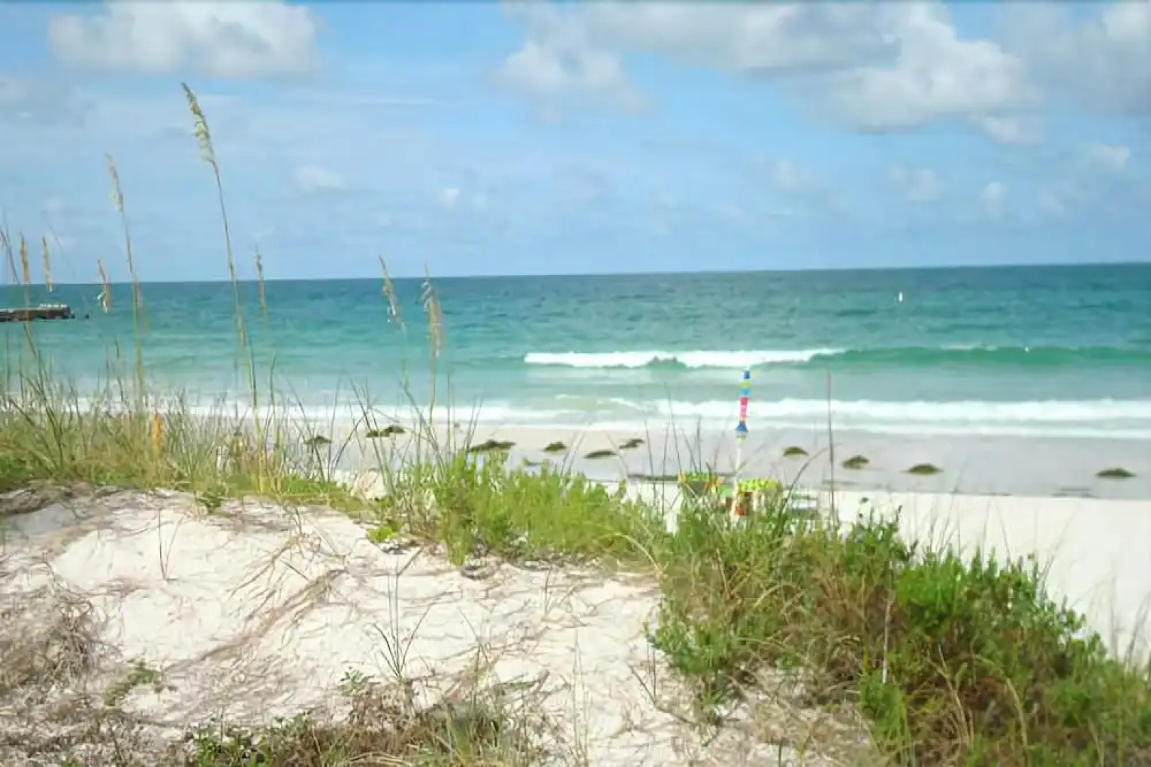 Dolphin Dance, North Side by RedAwning