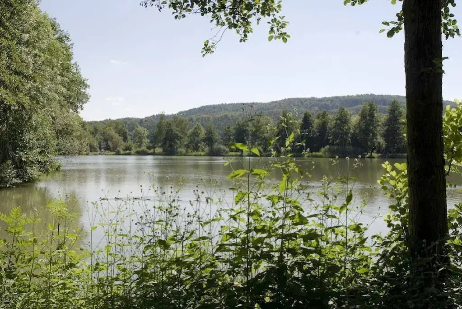 Landidyll Hotel Lamm