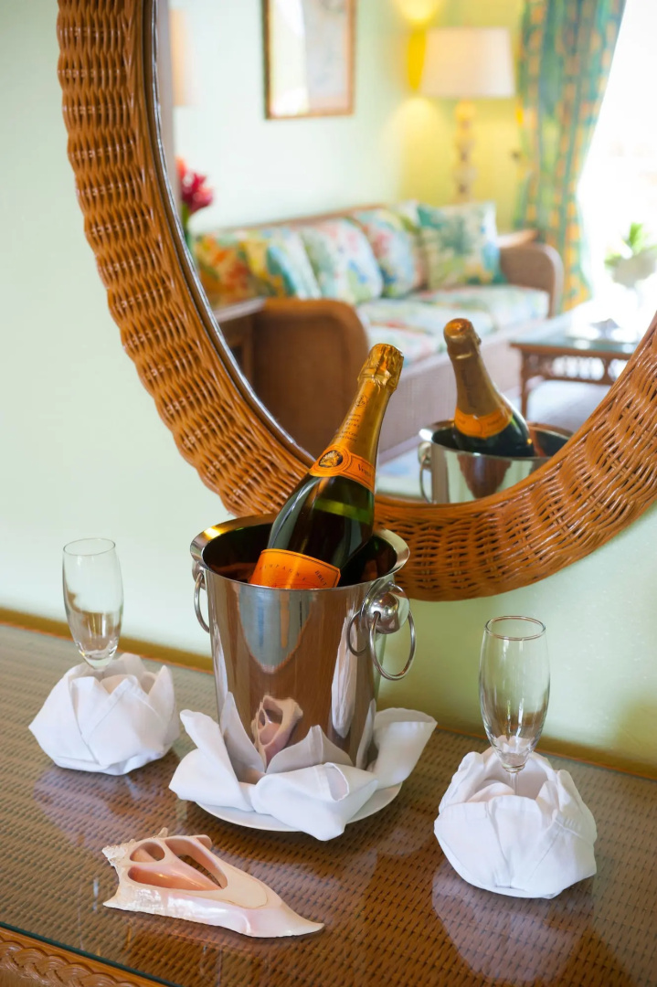 Mount Nevis Hotel