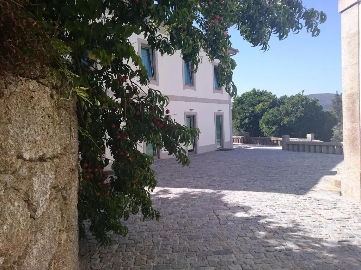 Solar Guesthouse Olival da Vinha