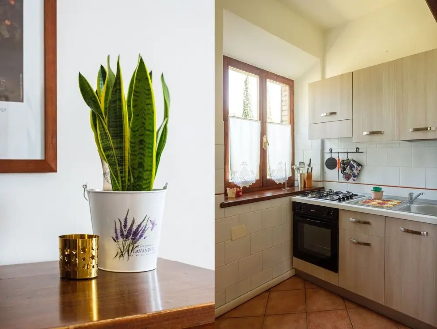 Agriturismo Cavalierino