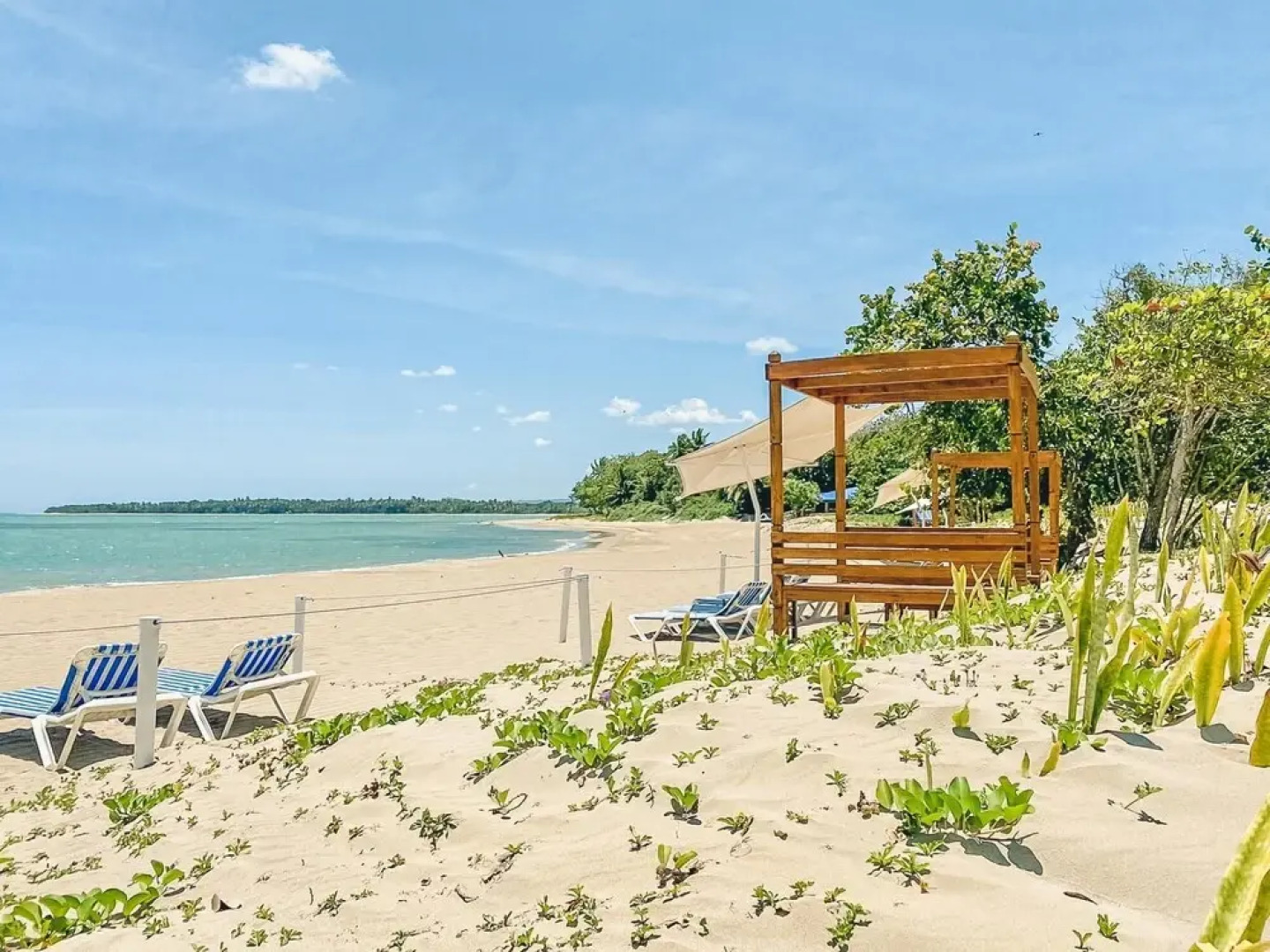 A few Steps to the Beach Enjoy This Joyful apt at Playa Dorada W Breakfast Included