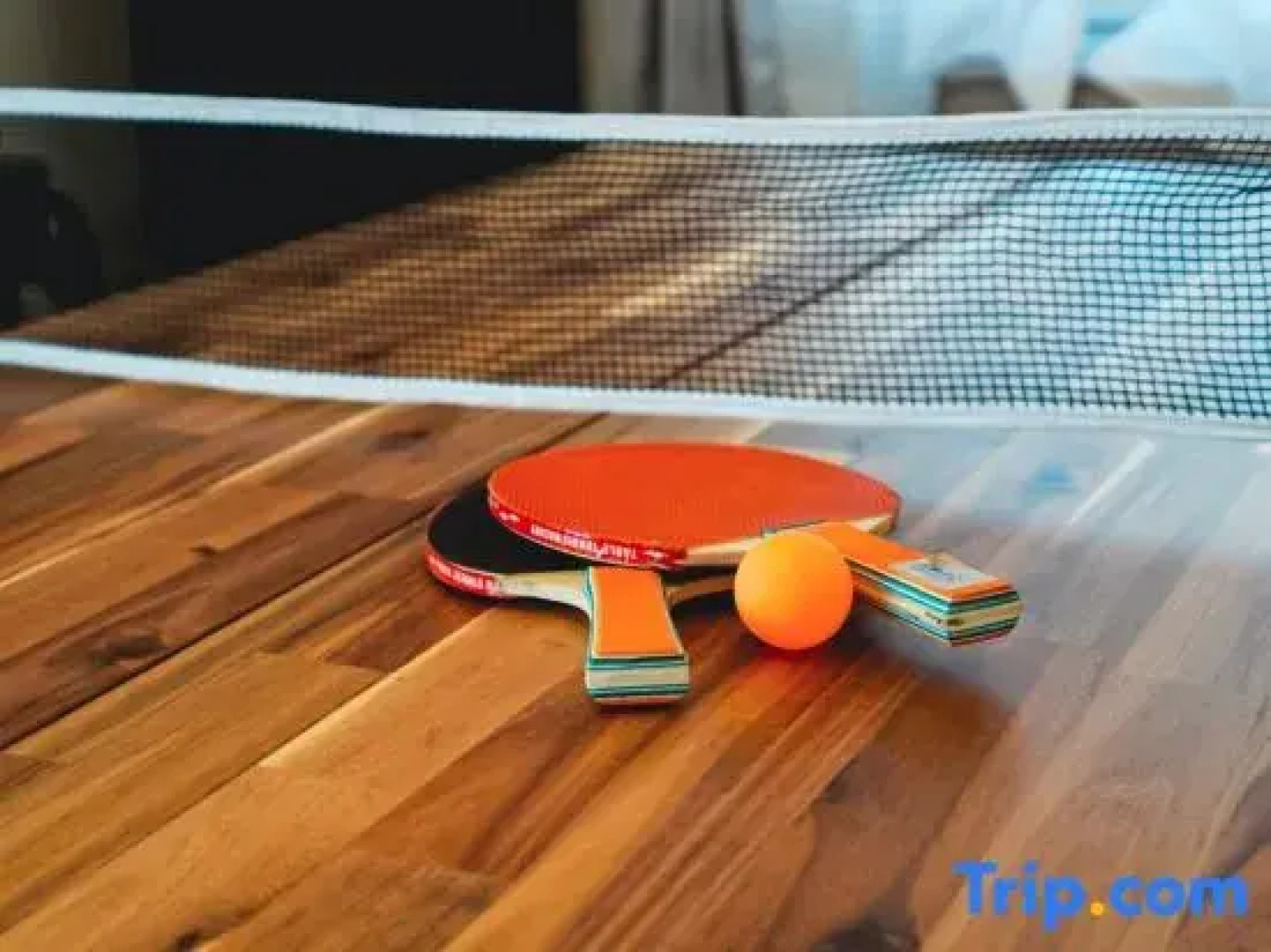 New 99m² home with private sauna and Mt. Asama view, near Karuizawa Outlet and Sora Building.