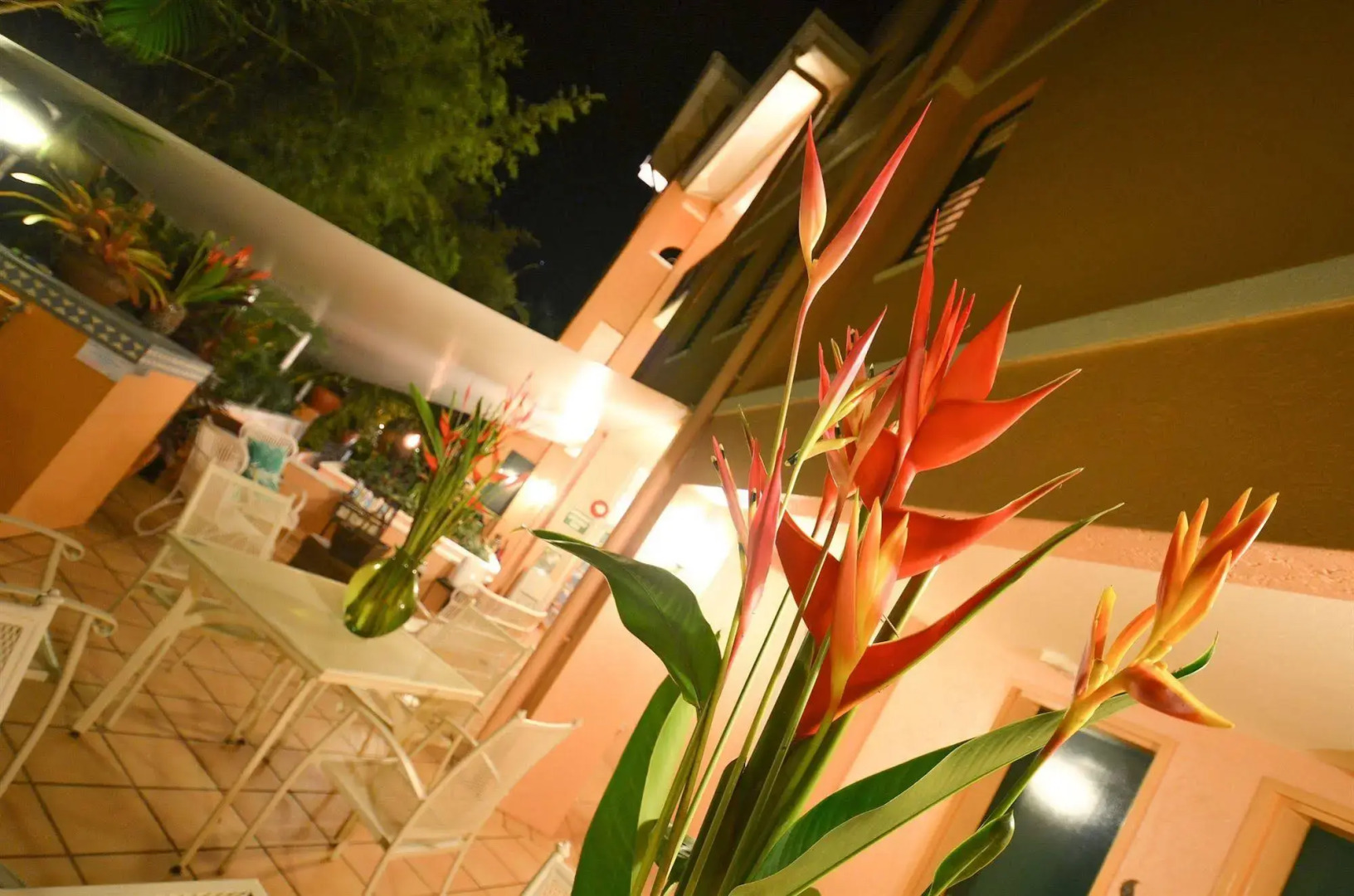 Martinique on Macrossan