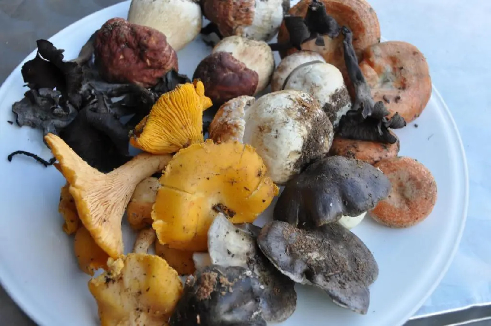 Casa Rural Las Janonas