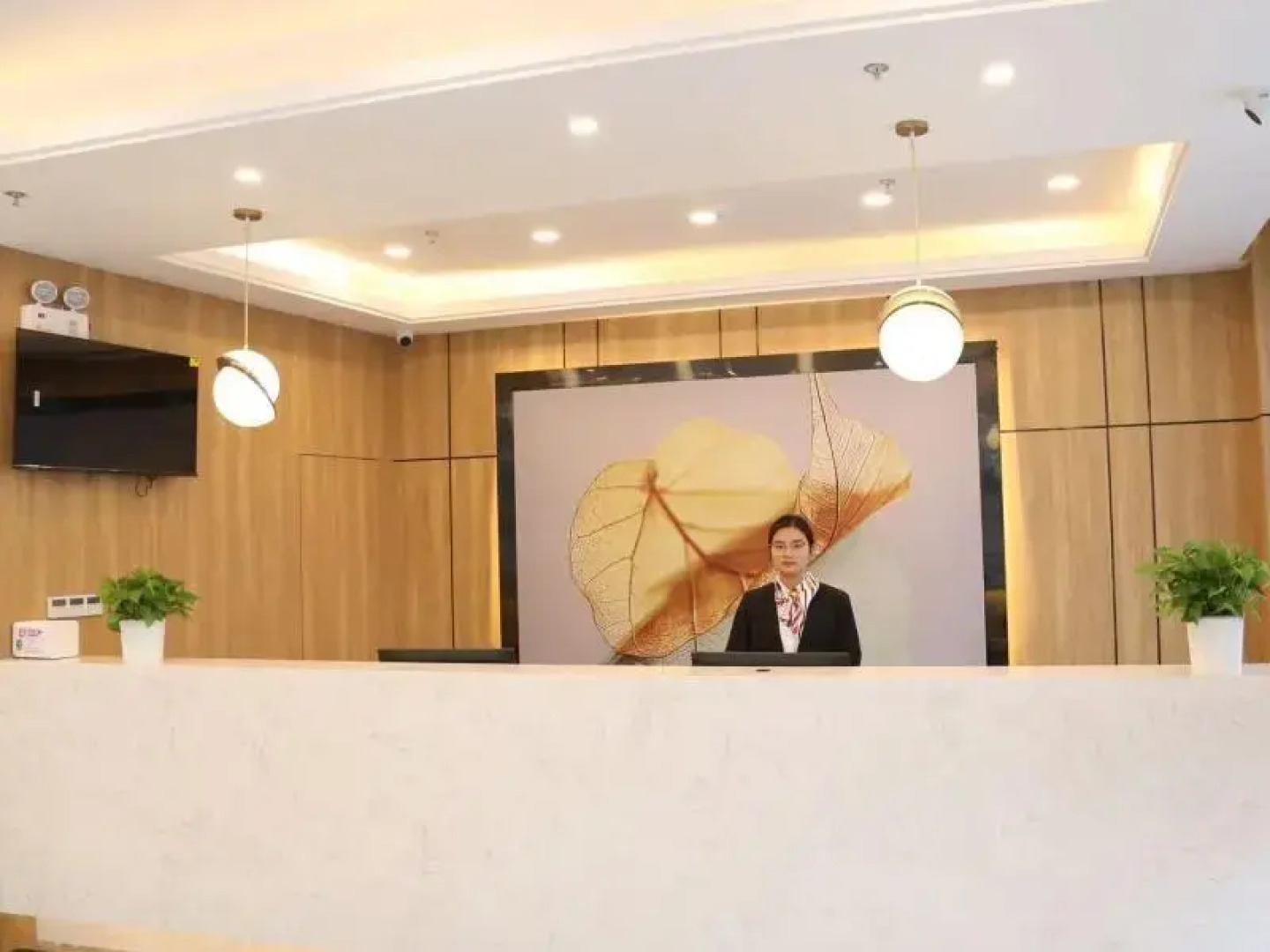 GreenTree Inn Anqing Susong High-speed Railway Sta