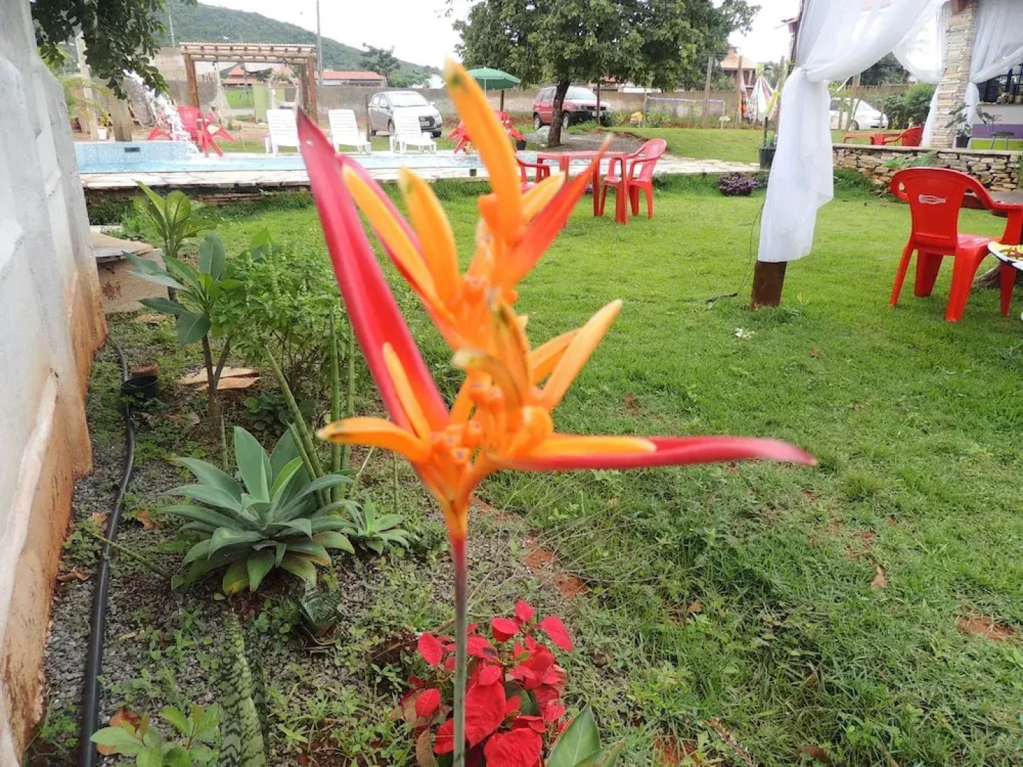 Flor de Pequi Pousada