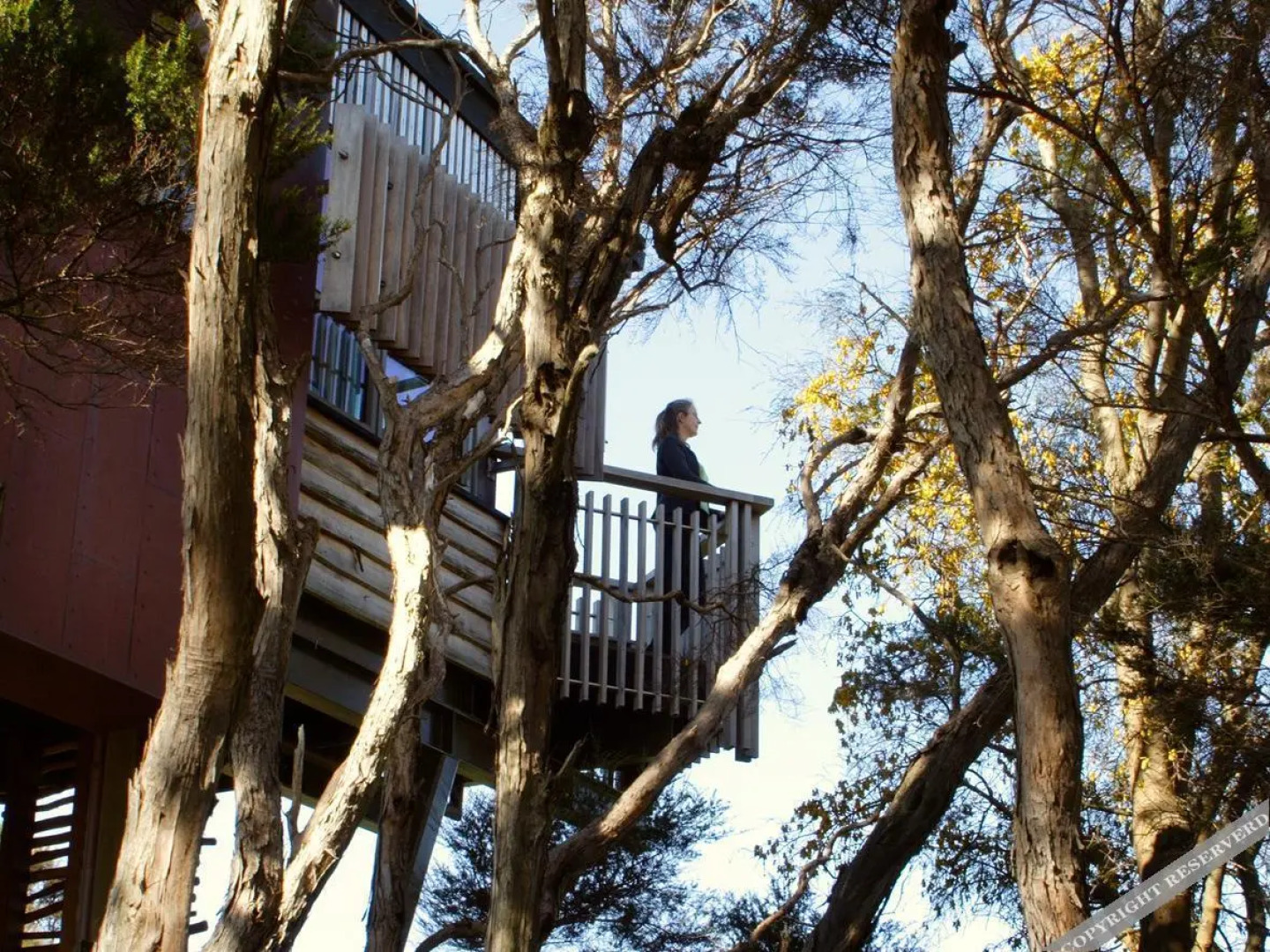 Hapuku Lodge & Tree Houses