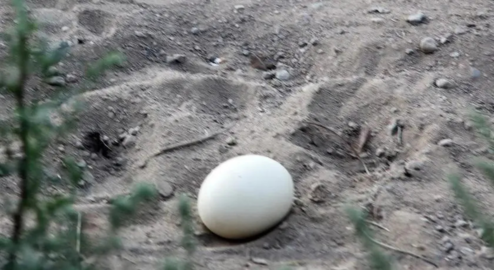 Ketolantilan Majoitus