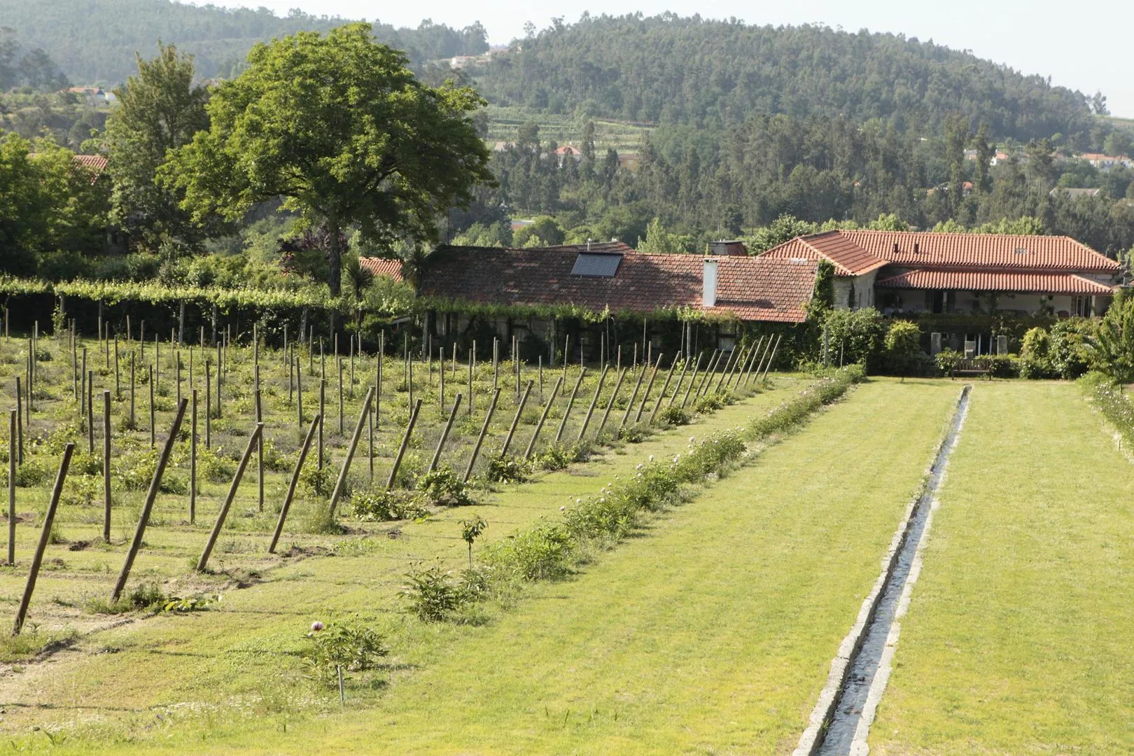 Casa de Juste - Lousada