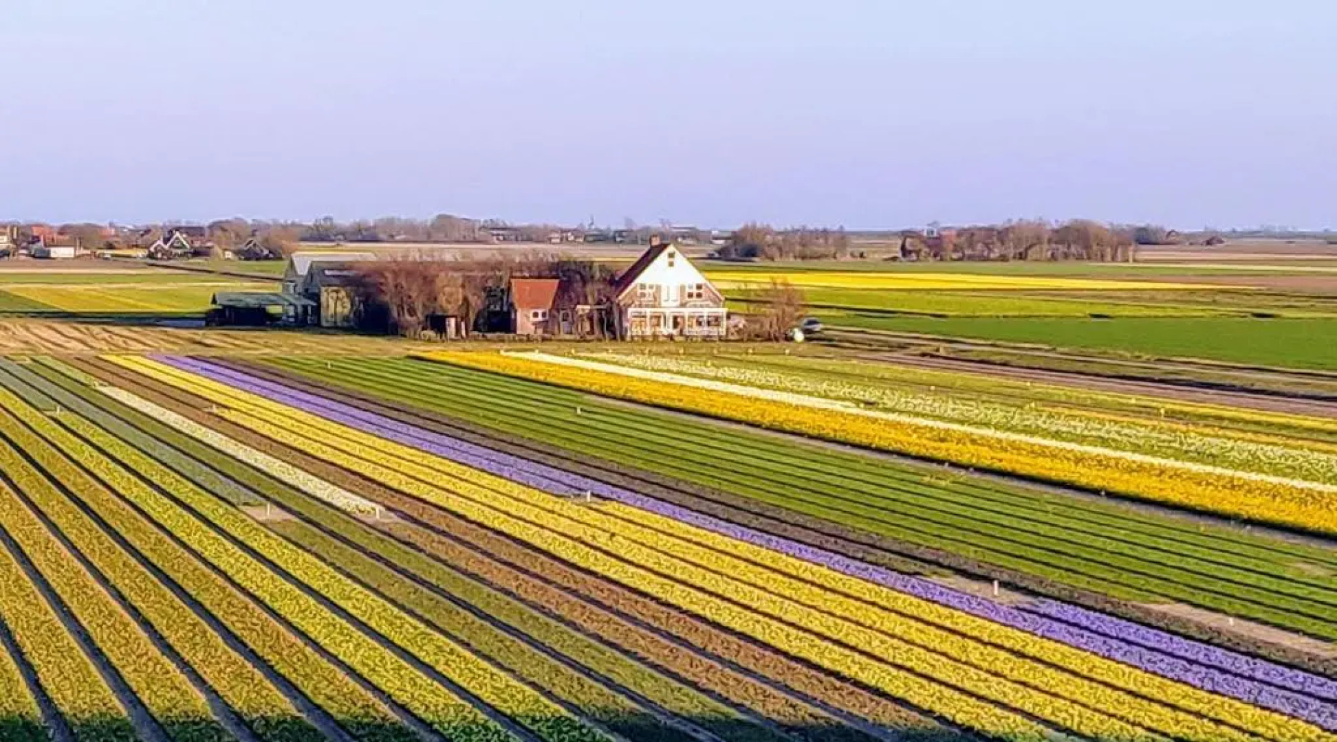 Vakantiebungalow Texel