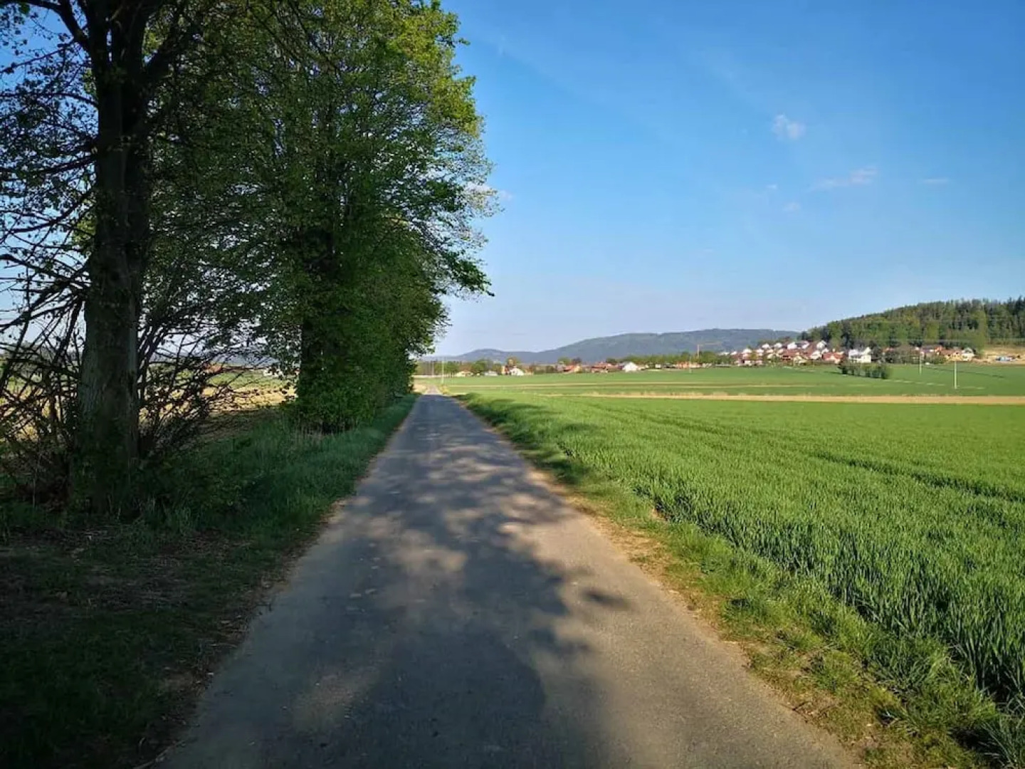 Ferienwohnung Kreuzer Lydia