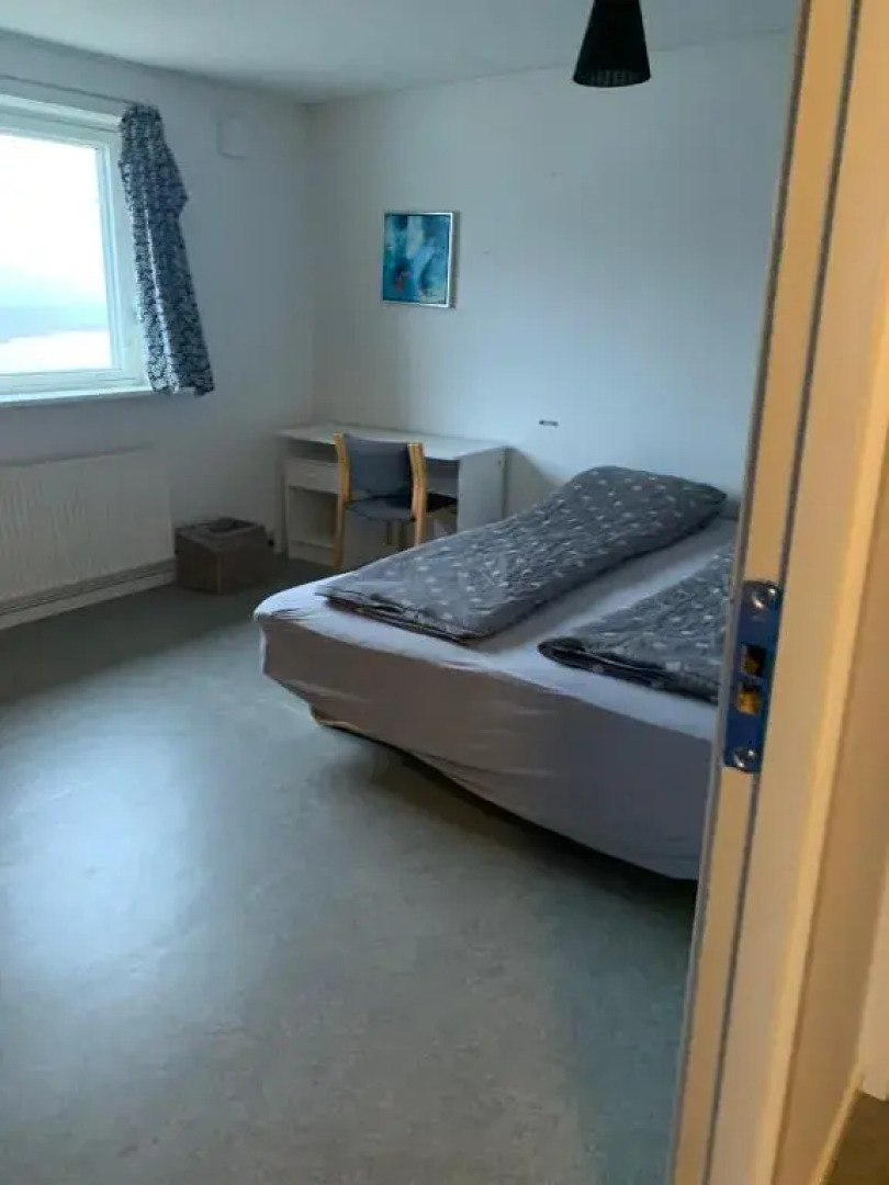 isi4u hostel, dogsled, snowmobiling