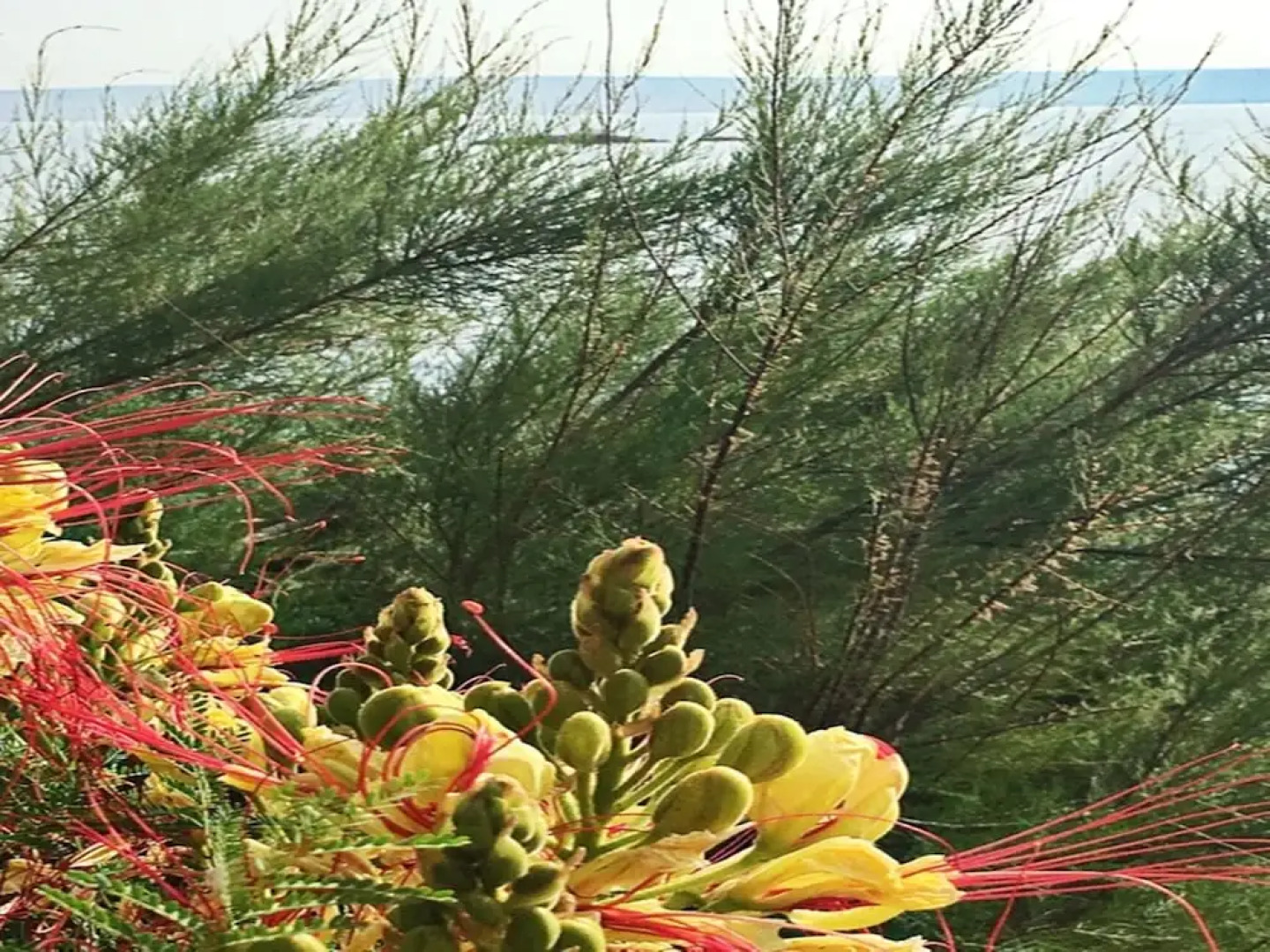 Sea-view Holiday Home in Lukovo Šugarje With Private Terrace