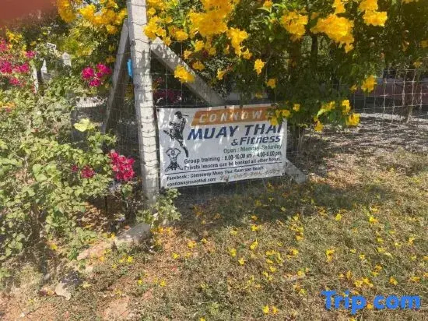 Thailand Dream Village E09