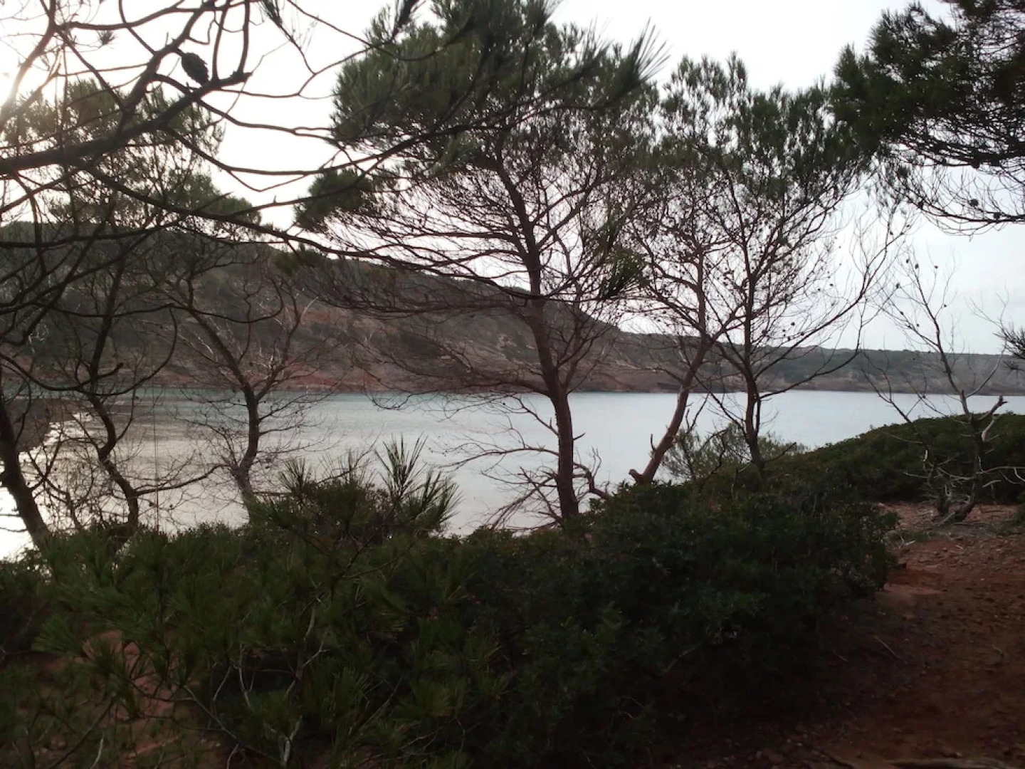 Posada Orsi Paspartu