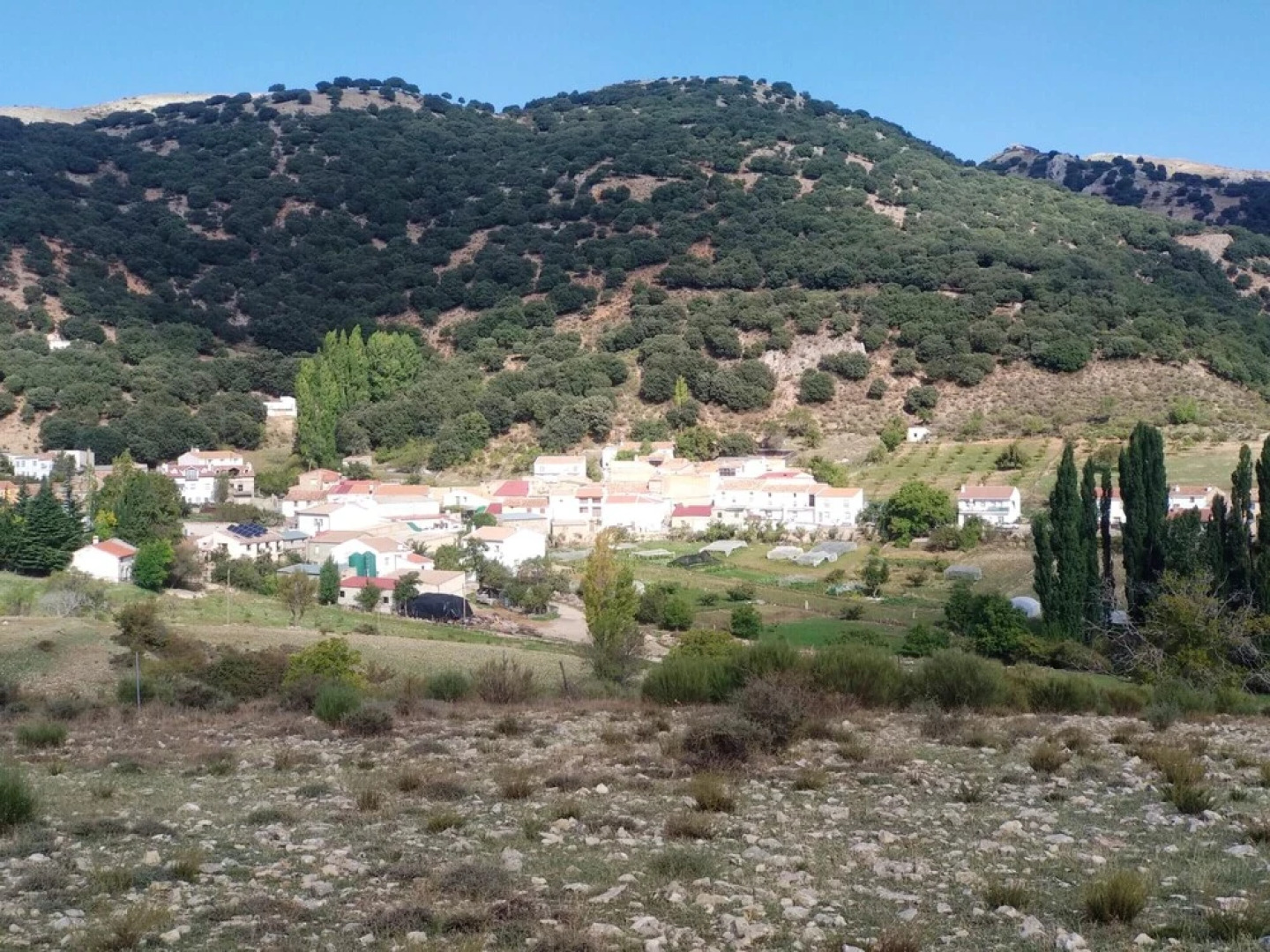 Studio in El Cerezo, With Pool Access and Wifi