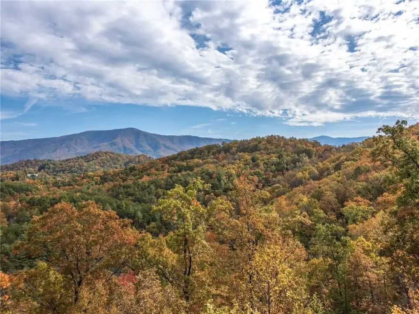 Bella Yani - Three Bedroom Cabin