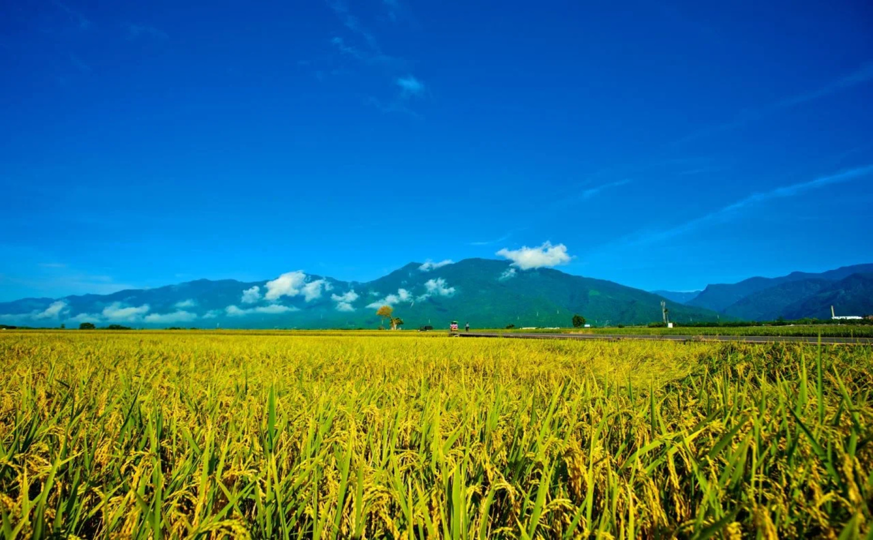 Papago International Resort