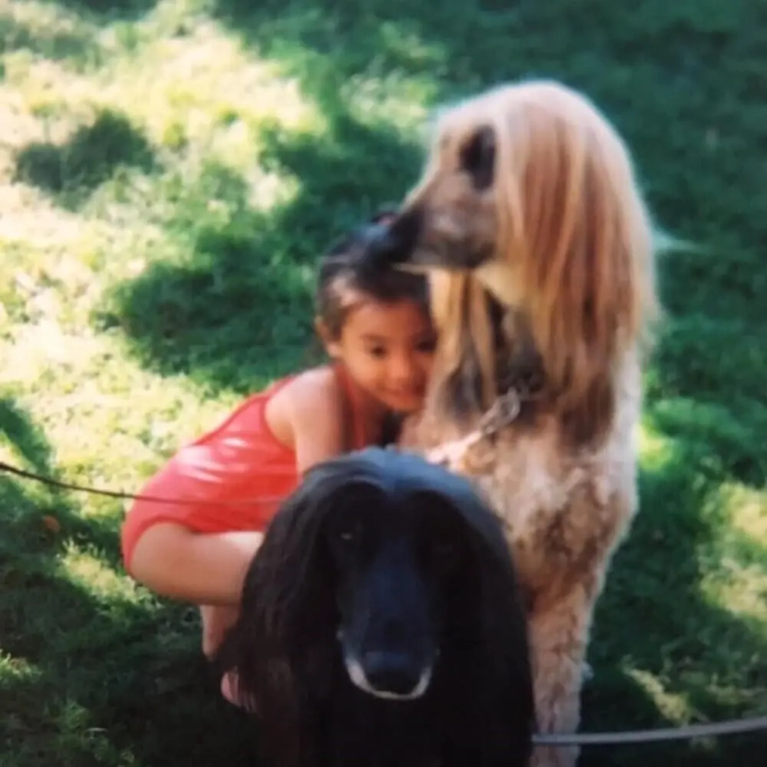 Blue Road Town Pension-Crystal