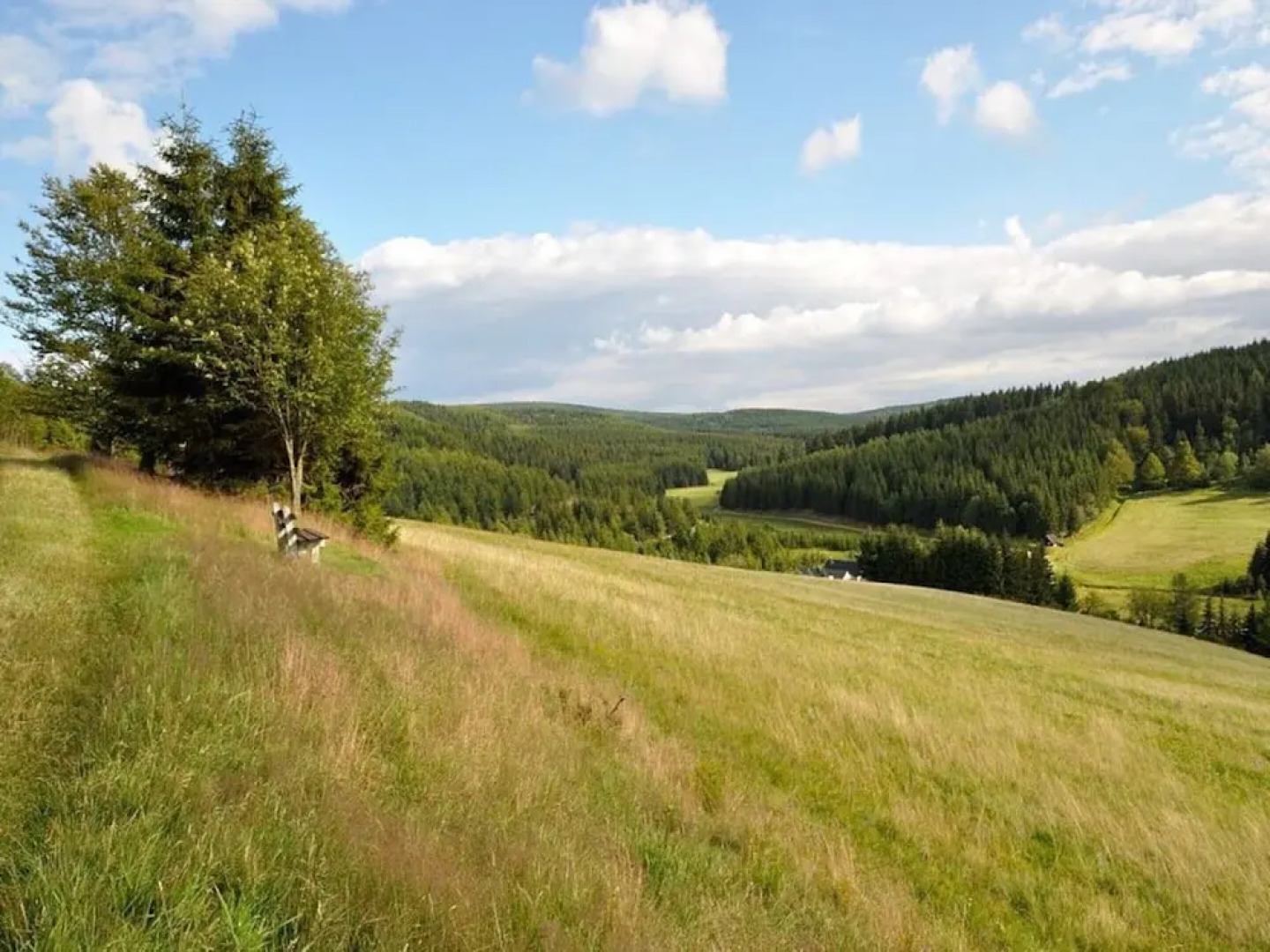 Rasehorn Comfortable Holiday Residence