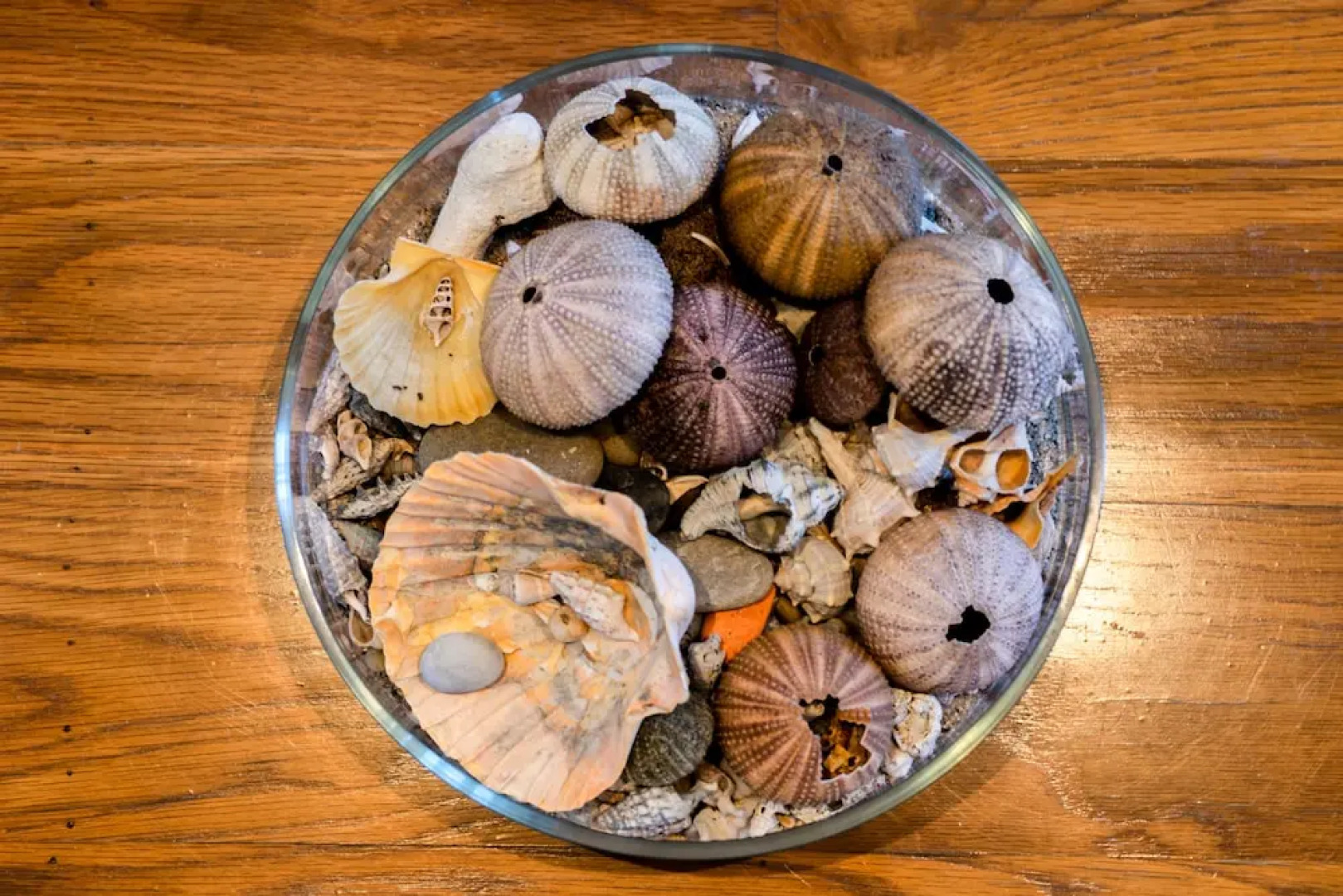 Terraços do Mar 1 by MP