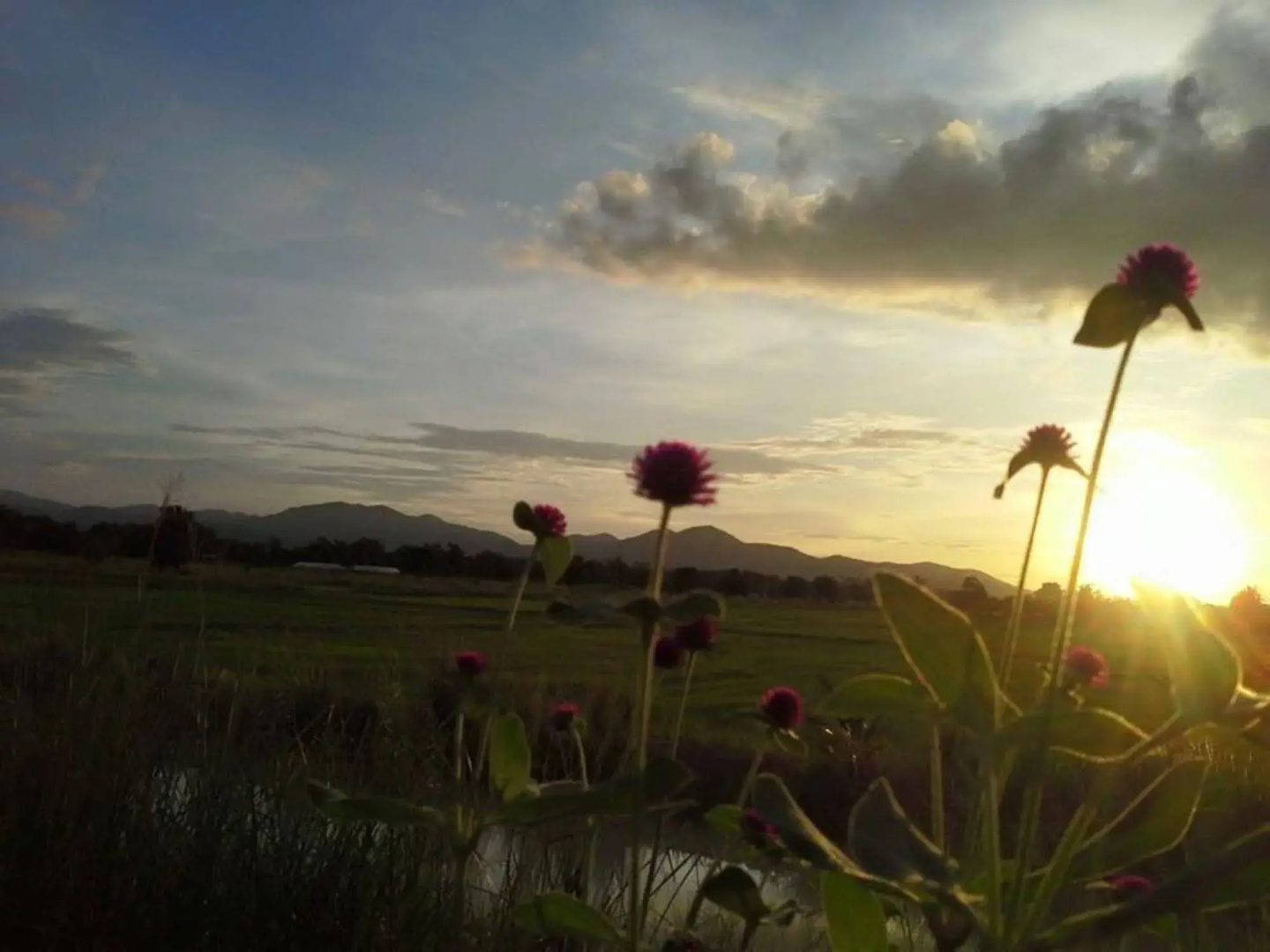 Phu Keb Phun