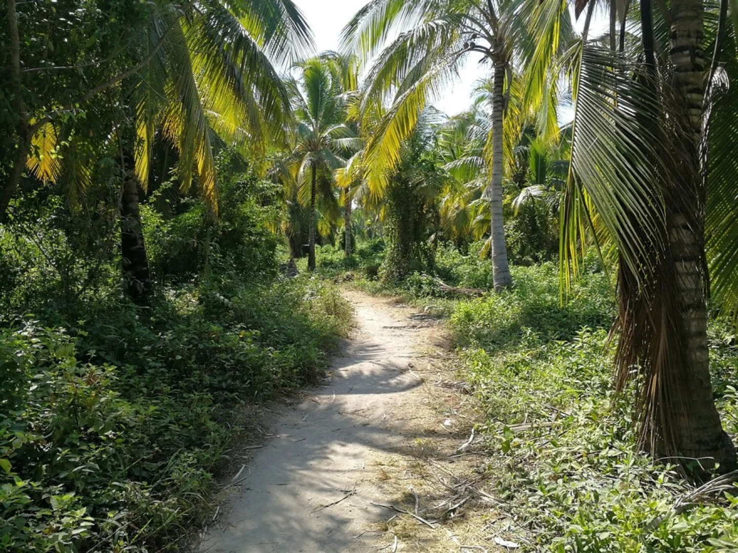Puerto Caracol Isla Múcura