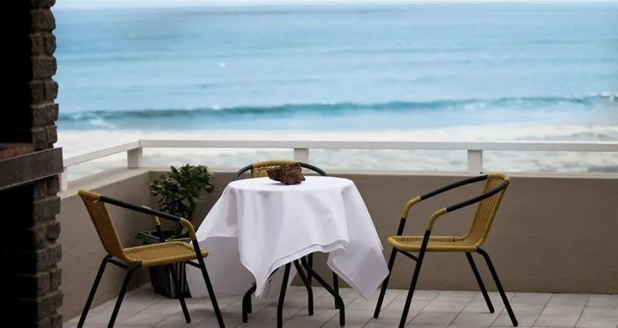 First Group Desert Rose