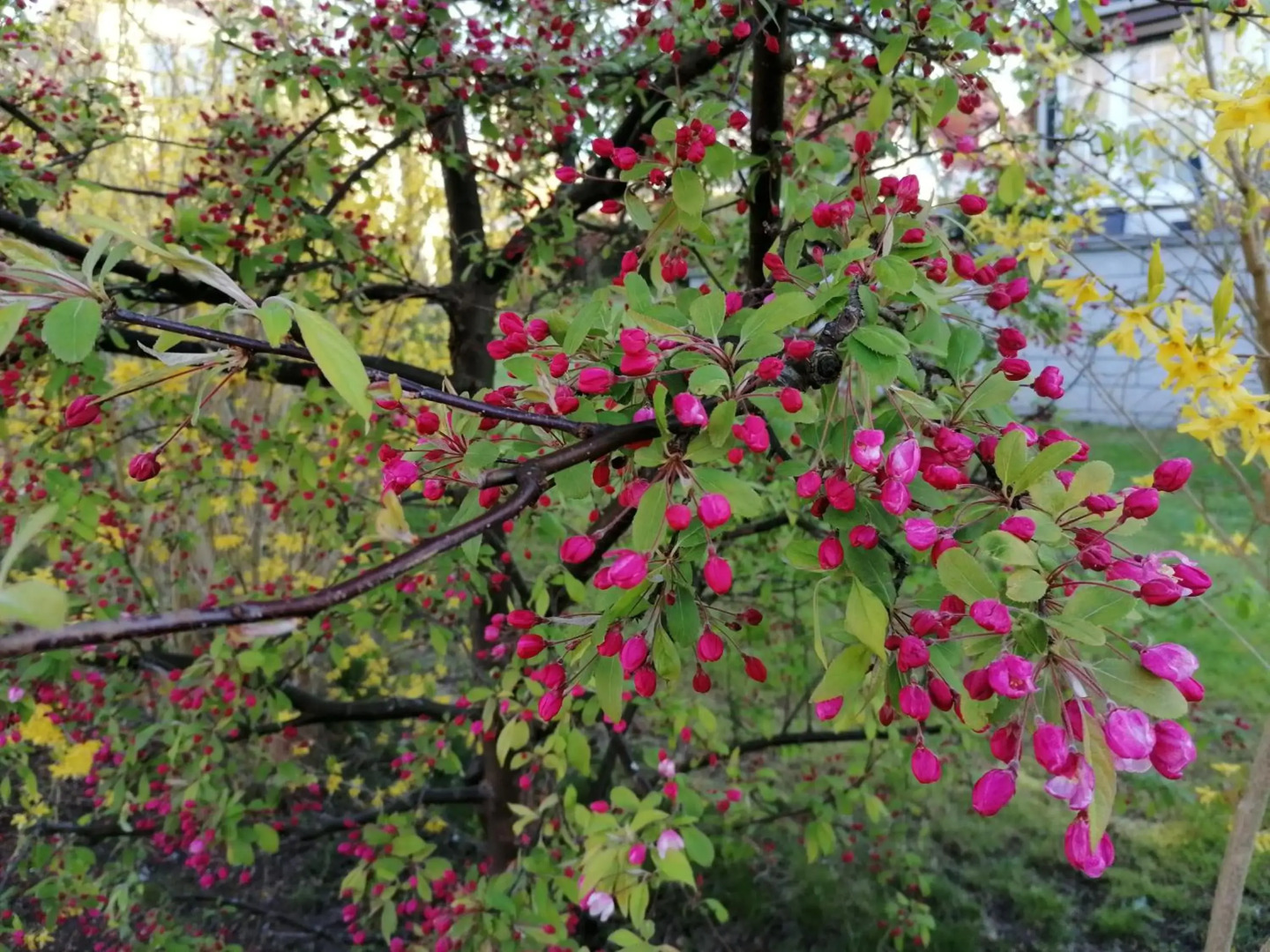 Pension Haus Anneliese