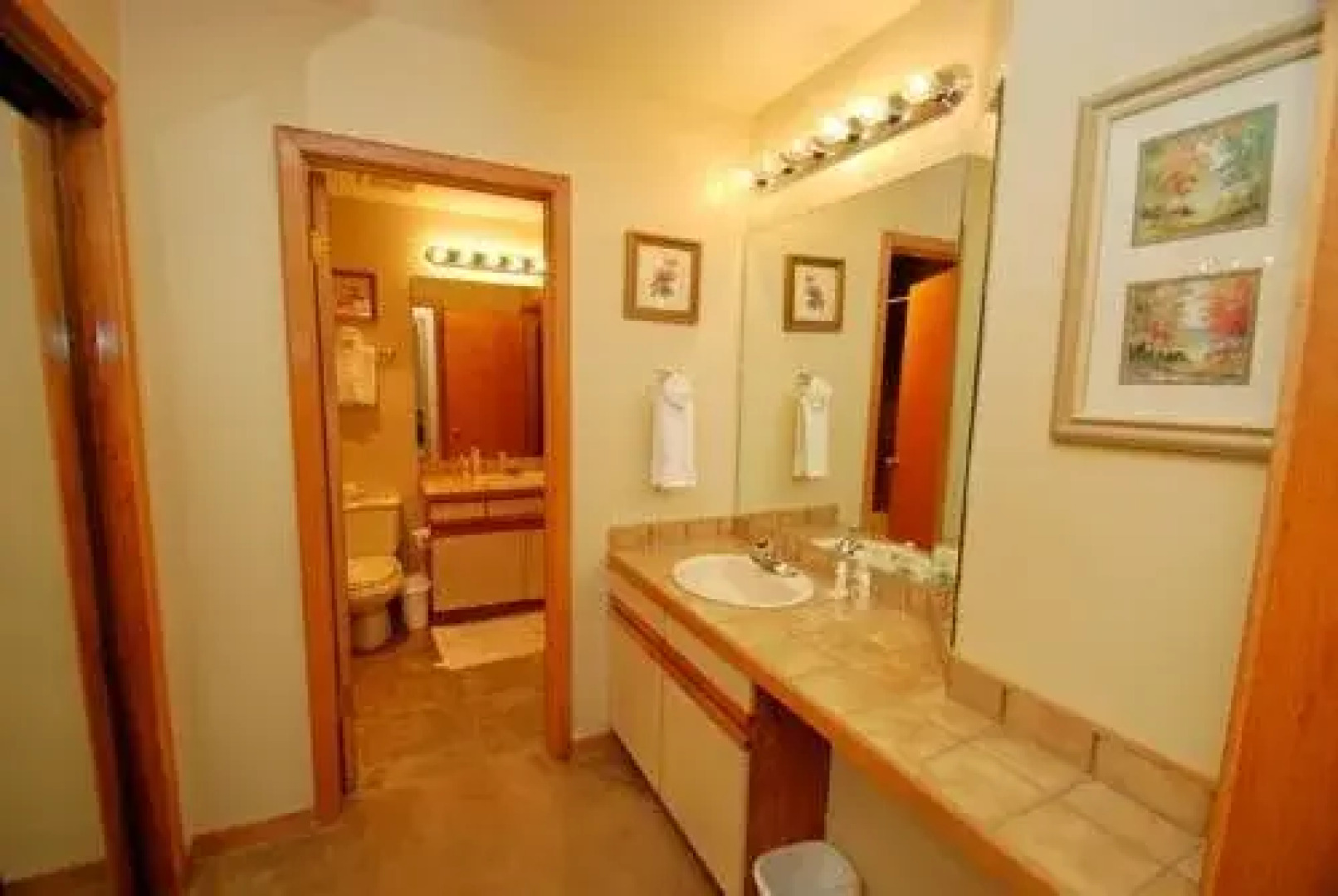 Ski Run by Key to the Rockies