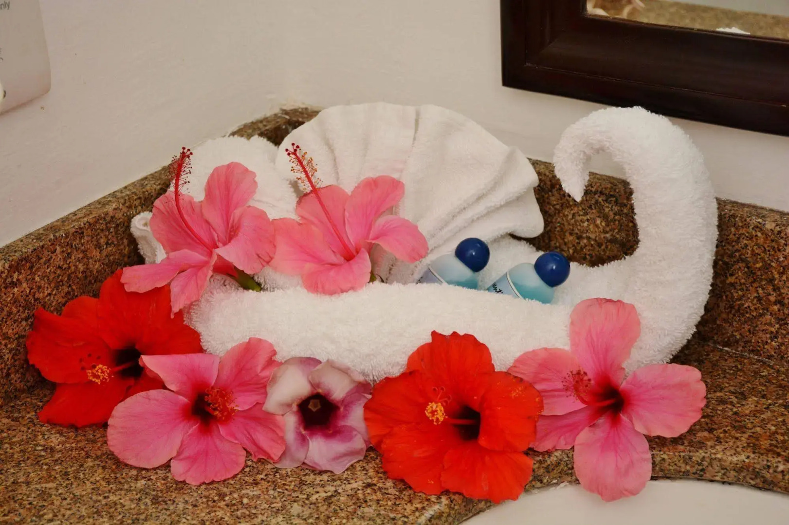 Grand Hotel Excelsior Port Royal