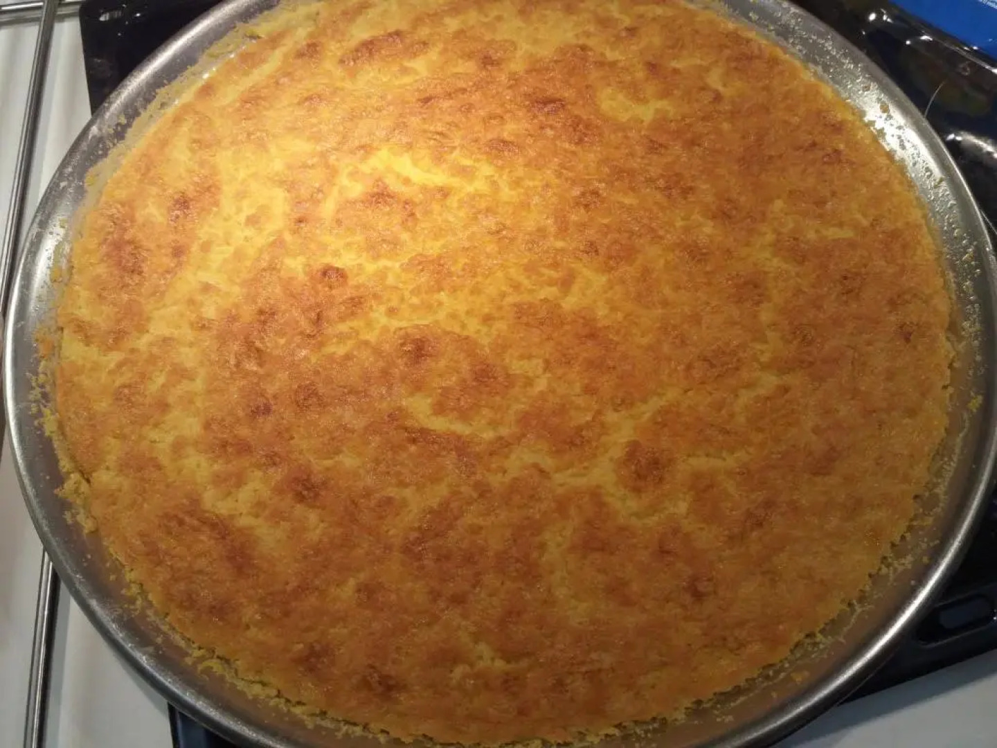 Agritusimo I Gelsi E I Castagni