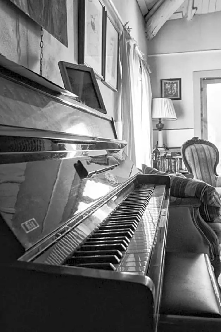 Viandanti, Artisti e Sognatori