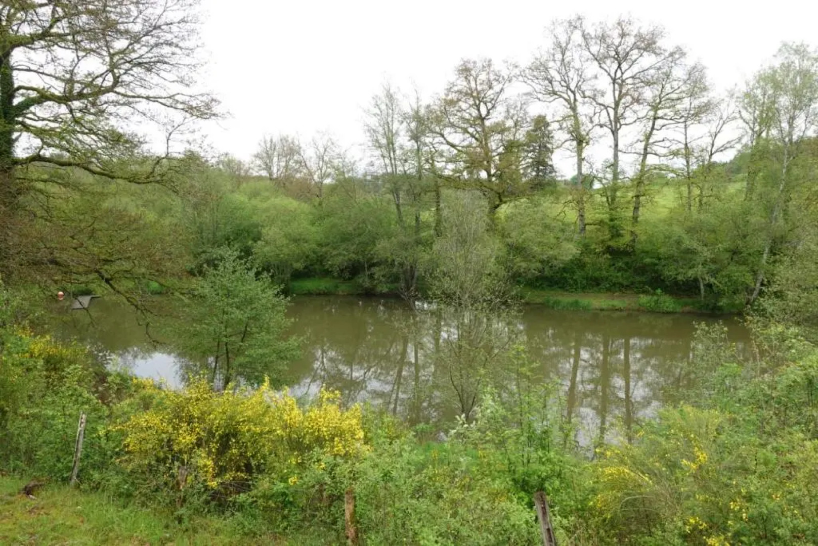 Camping Moulin de la Geneste