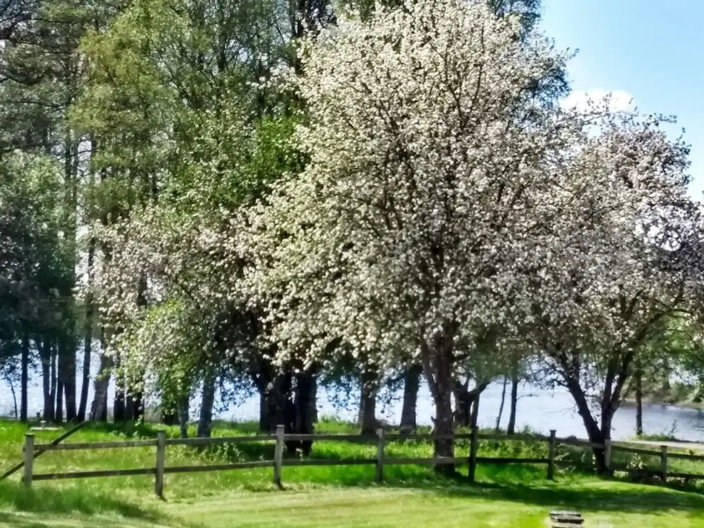 6 Person Holiday Home in Aplared-by Traum