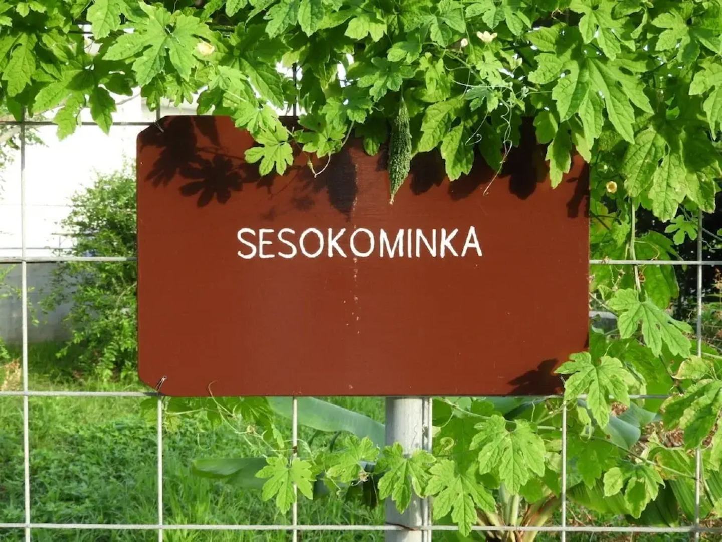 Sesokominka