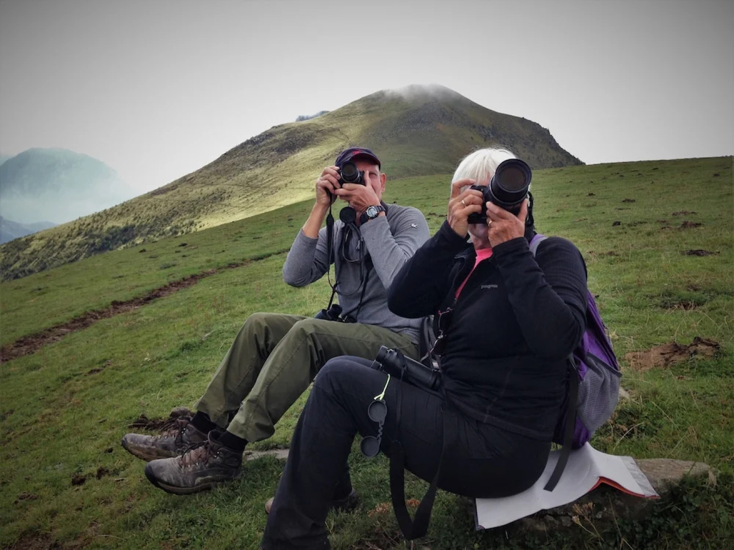 O Chardinet d'a Formiga