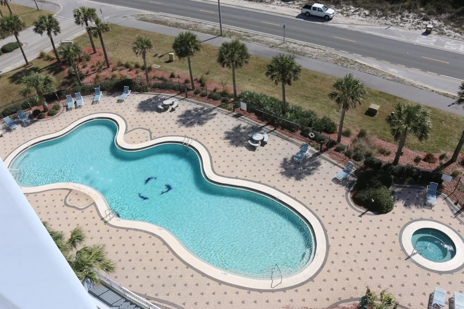 Emerald Dolphin by Surfside VR