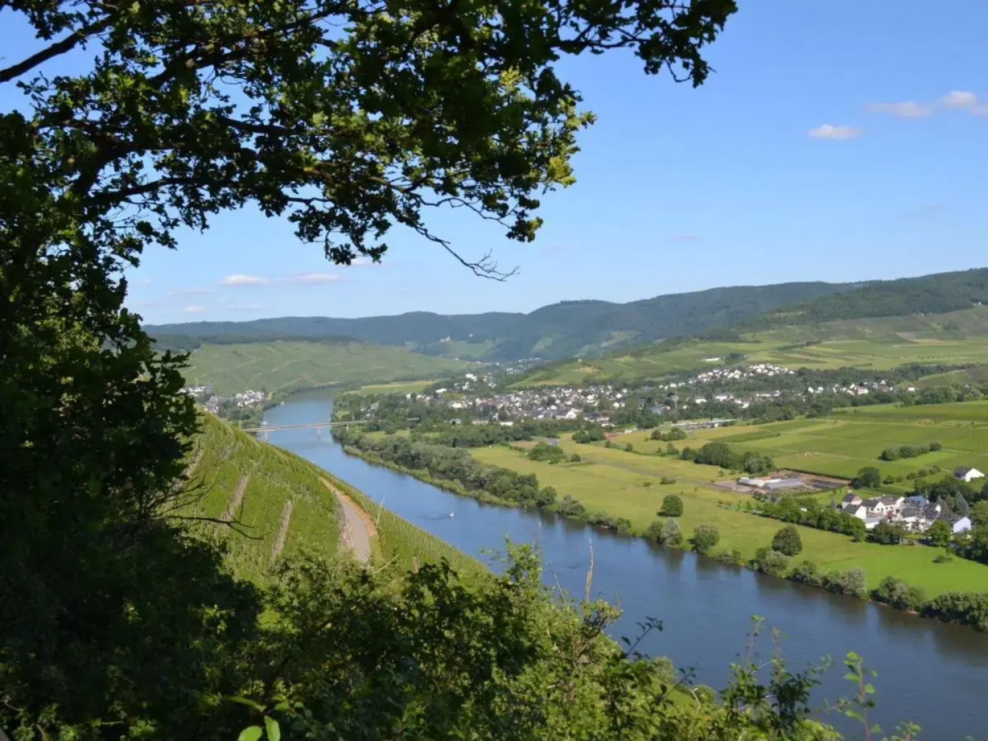 Weingut Mathy-Schanz