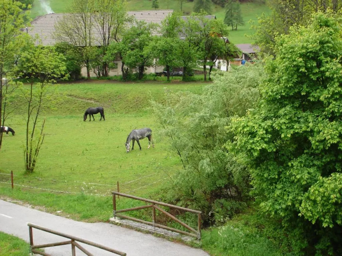 Apartments Sport Point