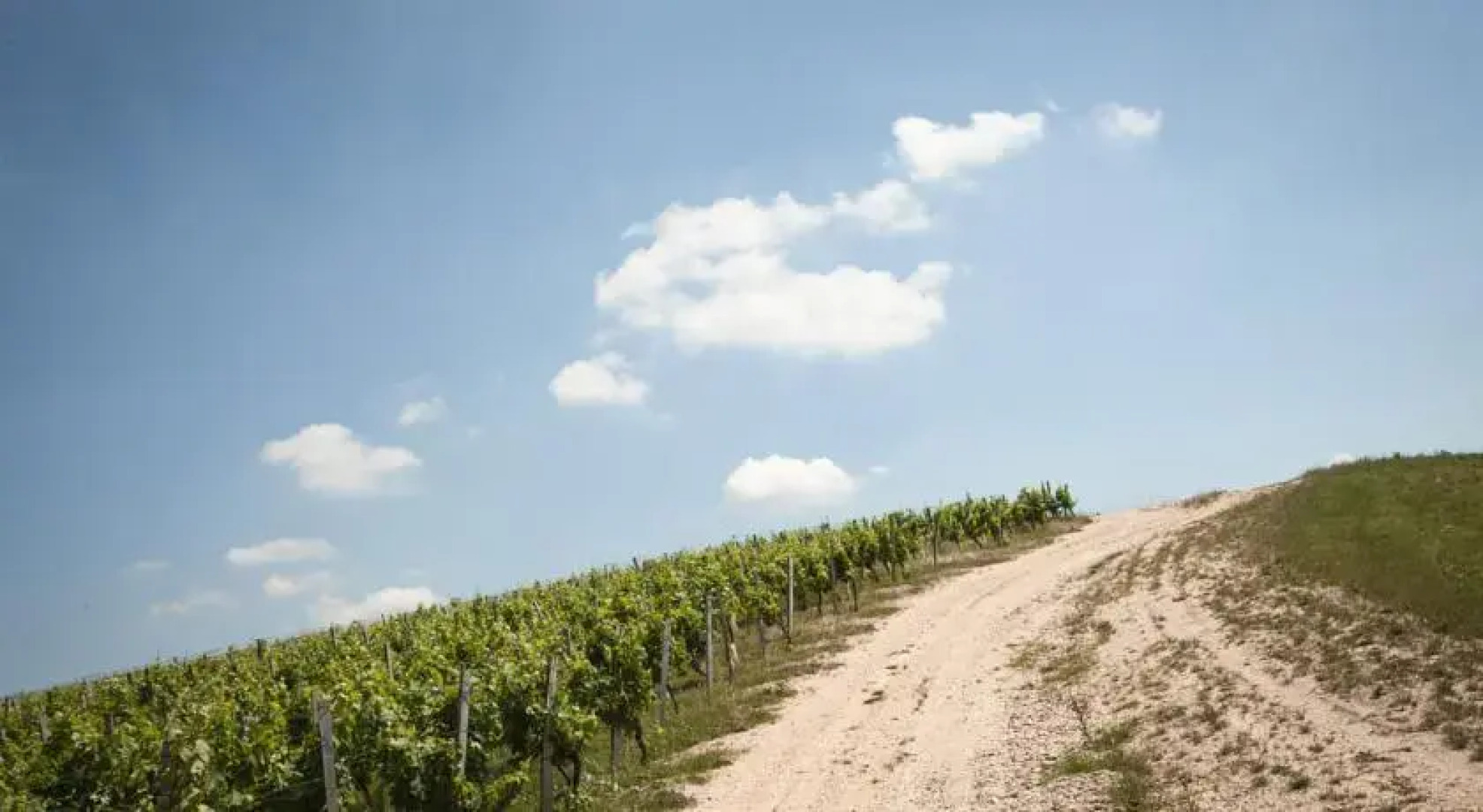 Chambres dHôtes du Château du Grand Mouëys